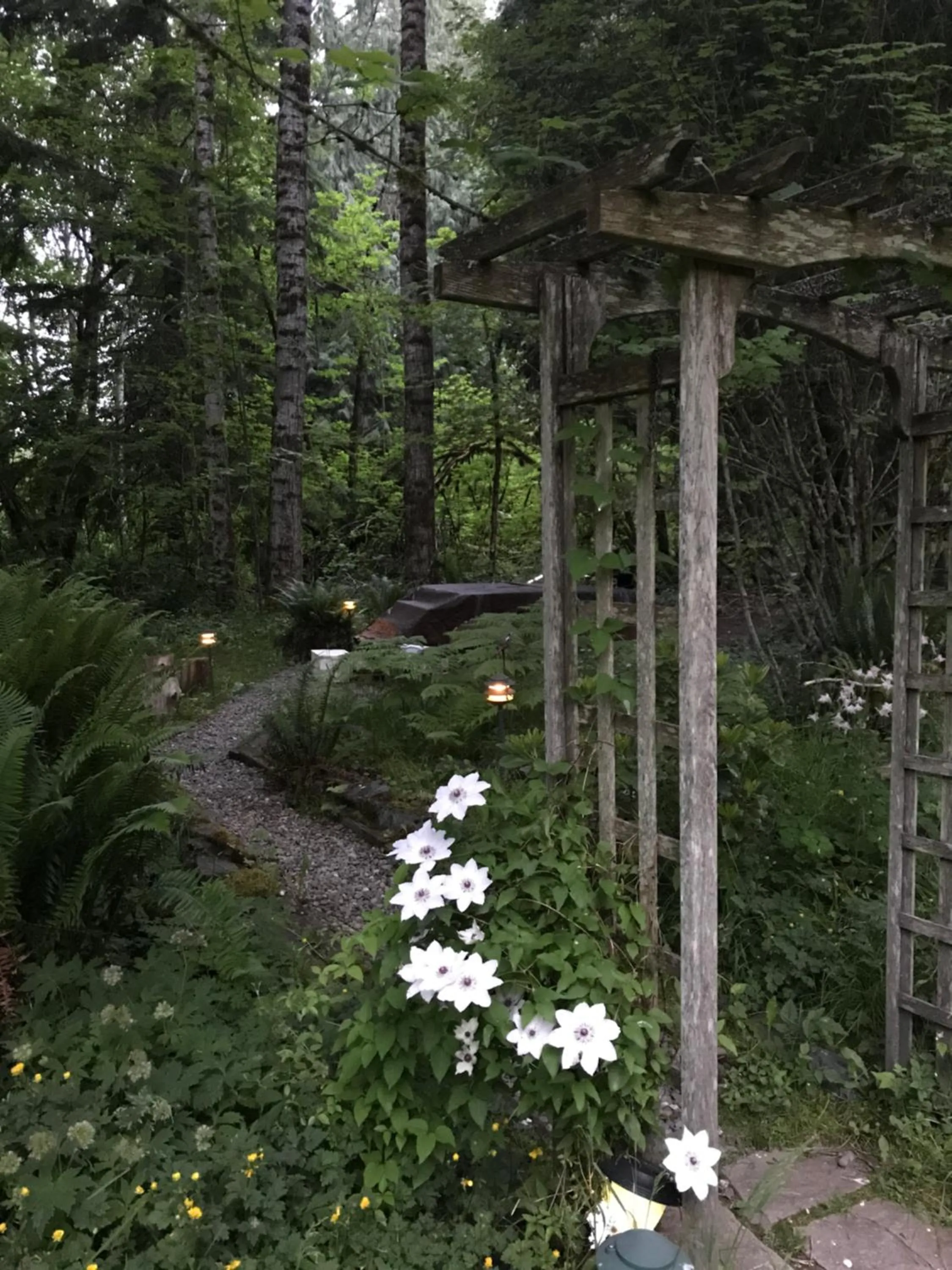 Hot Tub in Mountain Meadows Inn & Chalet Suites