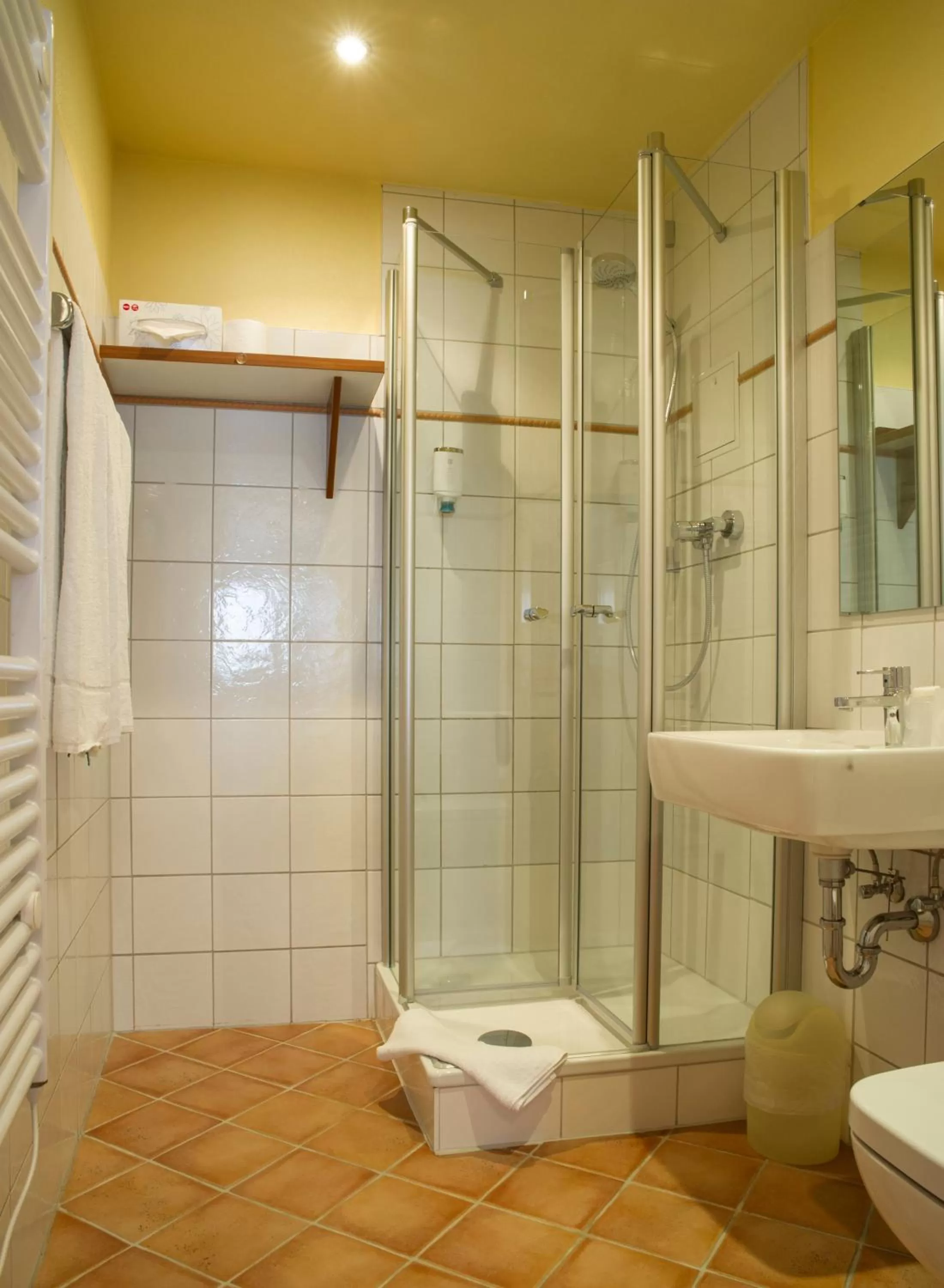 Single Room - single occupancy in Hotel Elch