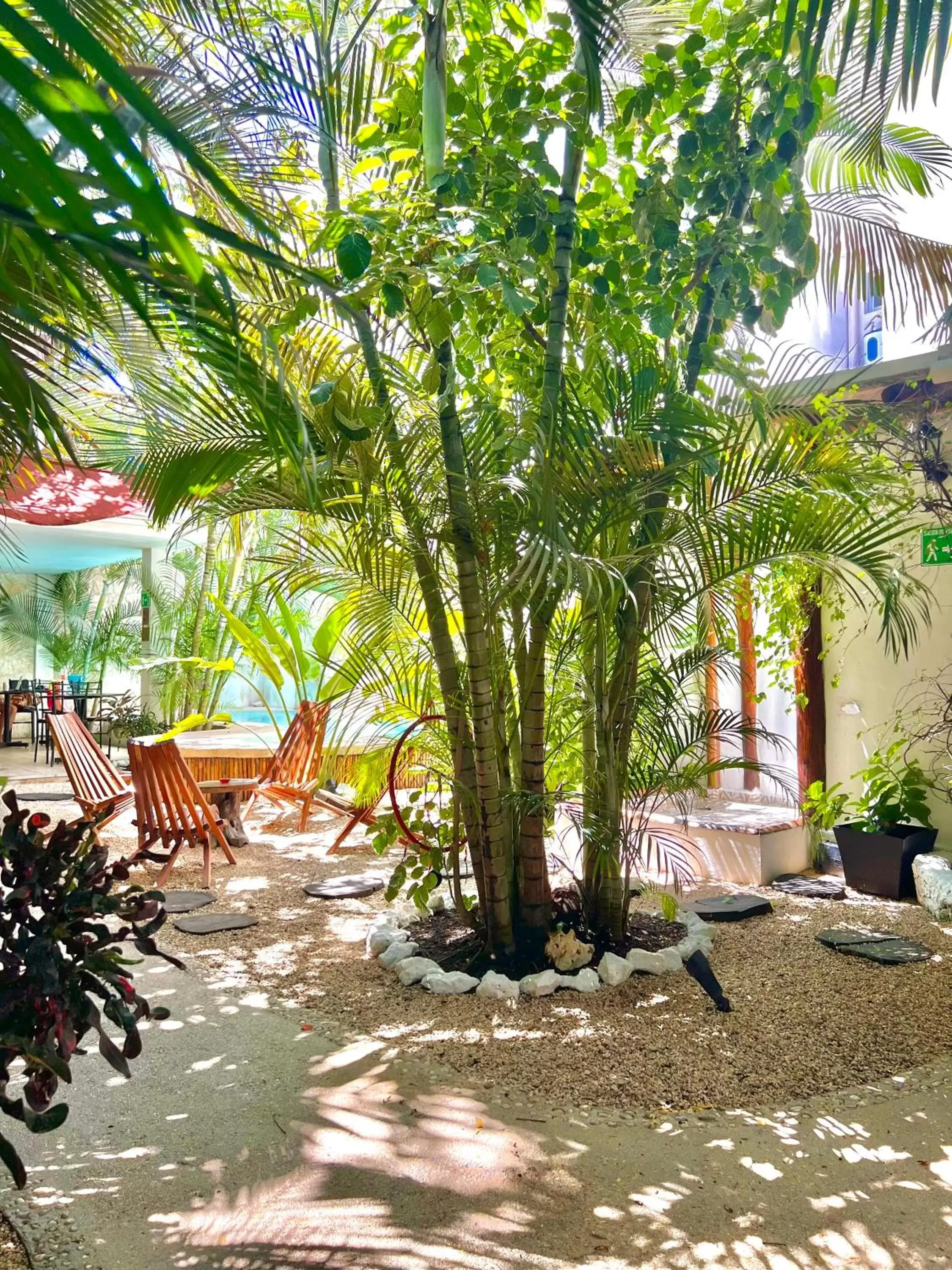 Garden in Pacha Tulum Boutique Hotel