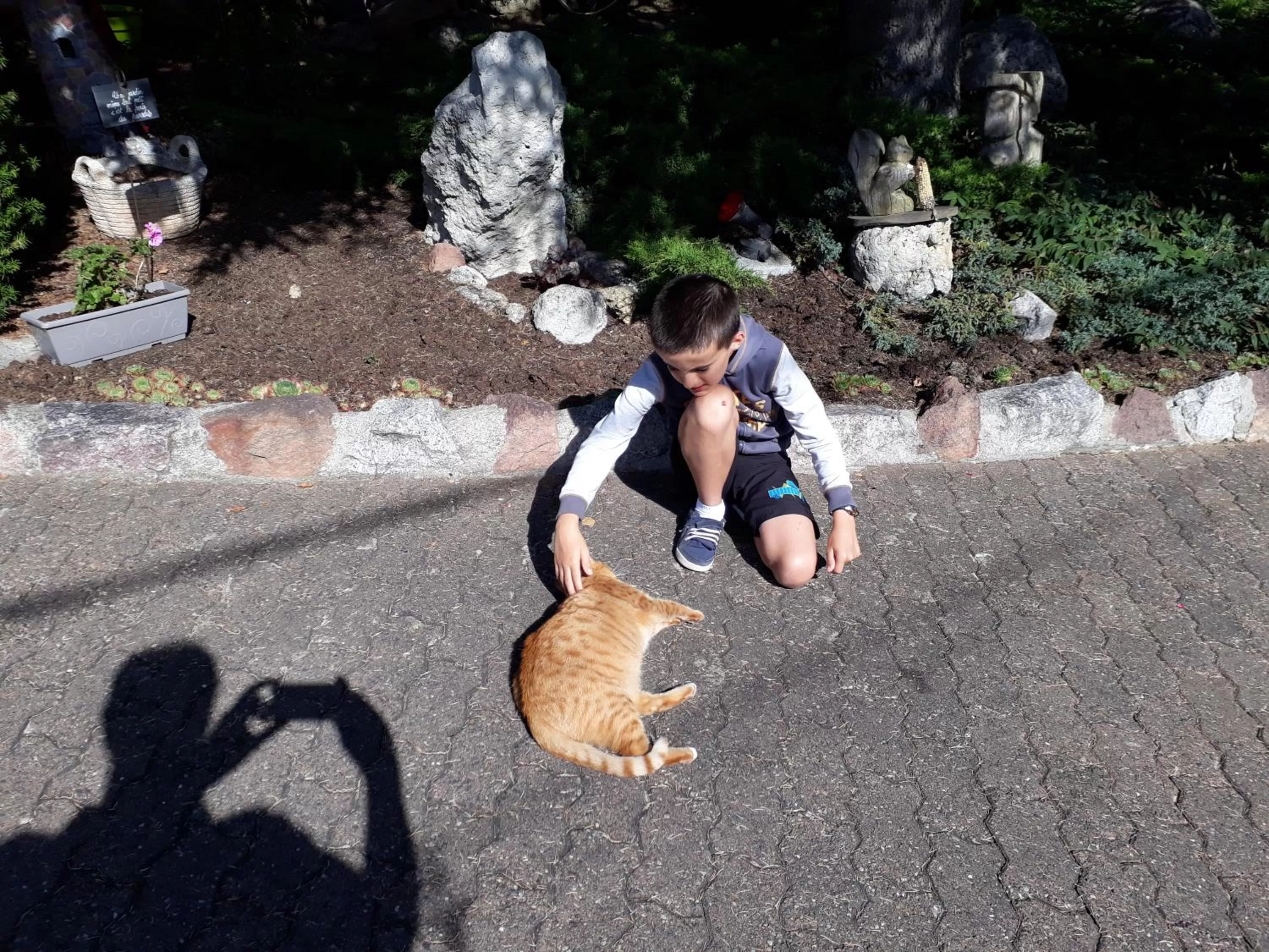 Property building, Children in Hôtel-Logis La Coraline