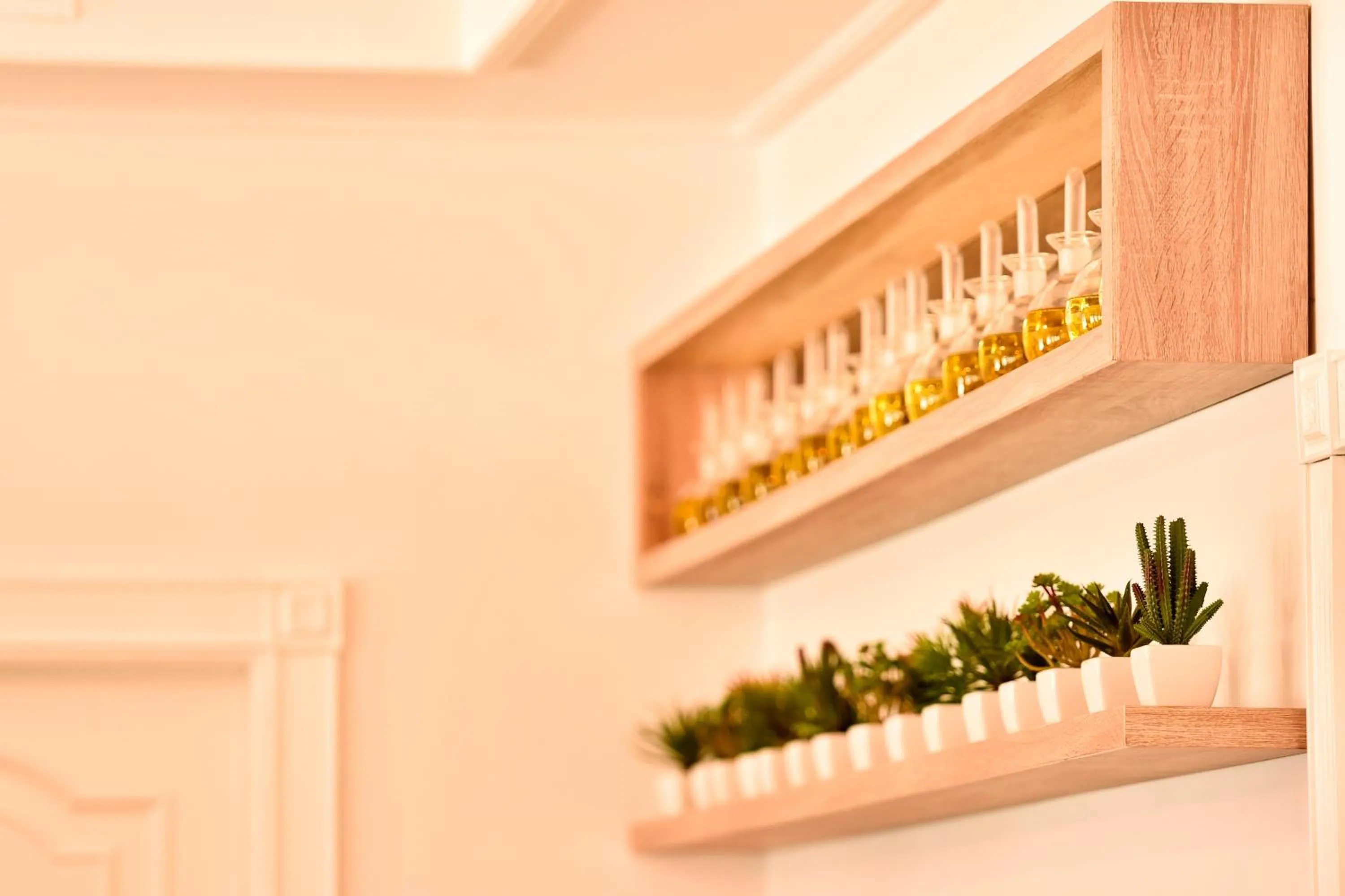 Dining area in Hotel Complejo París