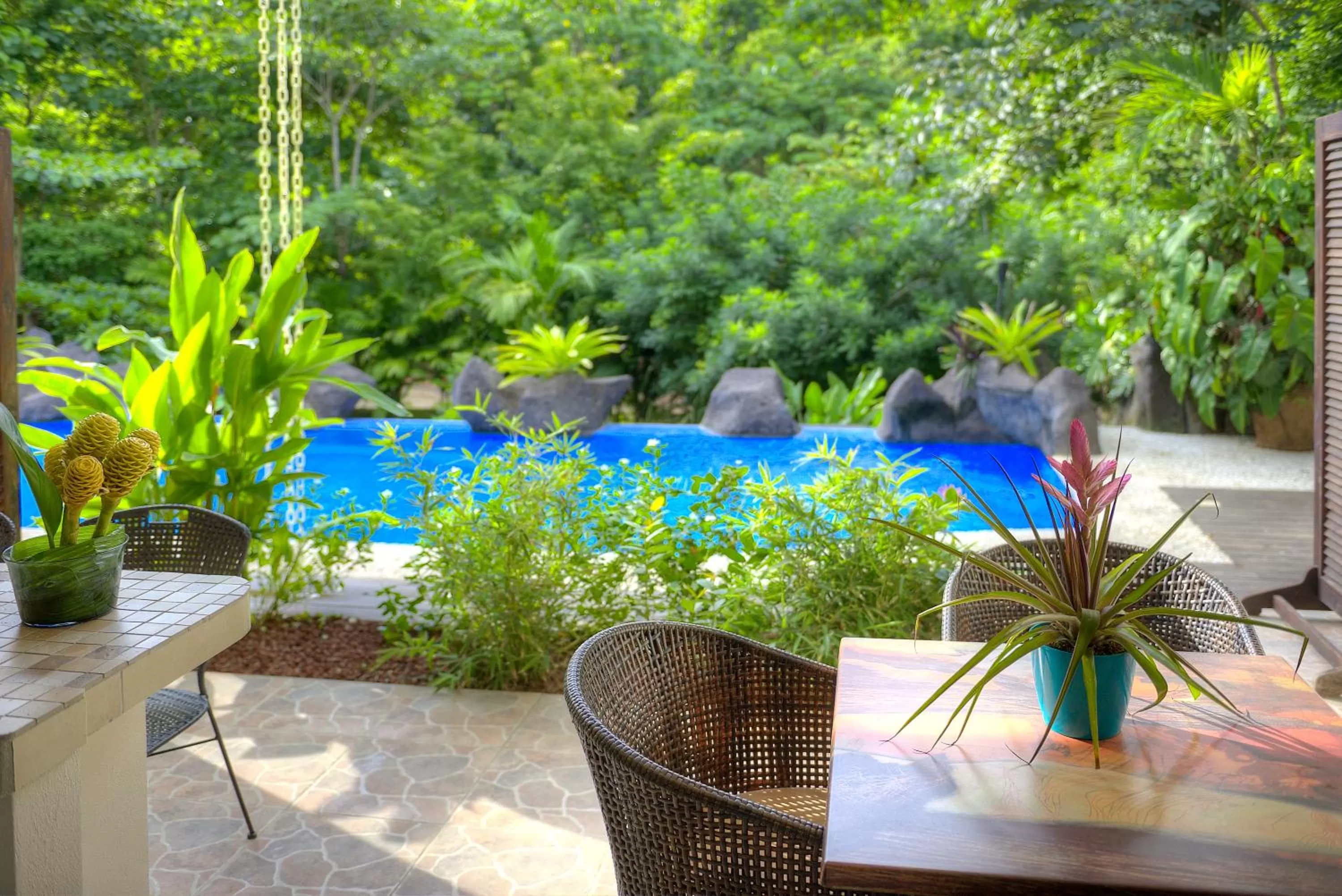 Balcony/Terrace in Pumilio Mountain & Ocean Hotel