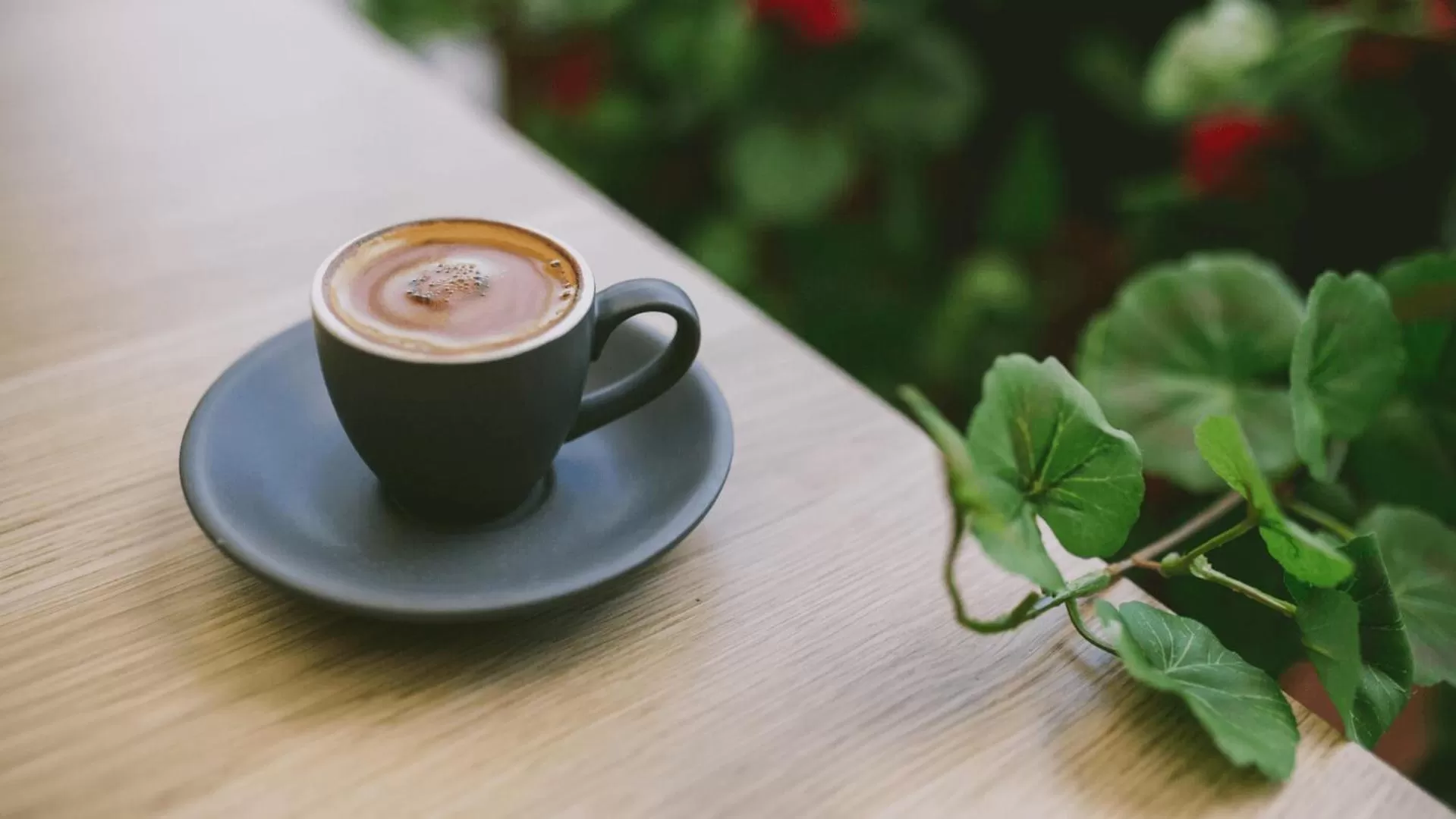 Restaurant/places to eat in Mercure Brisbane Spring Hill