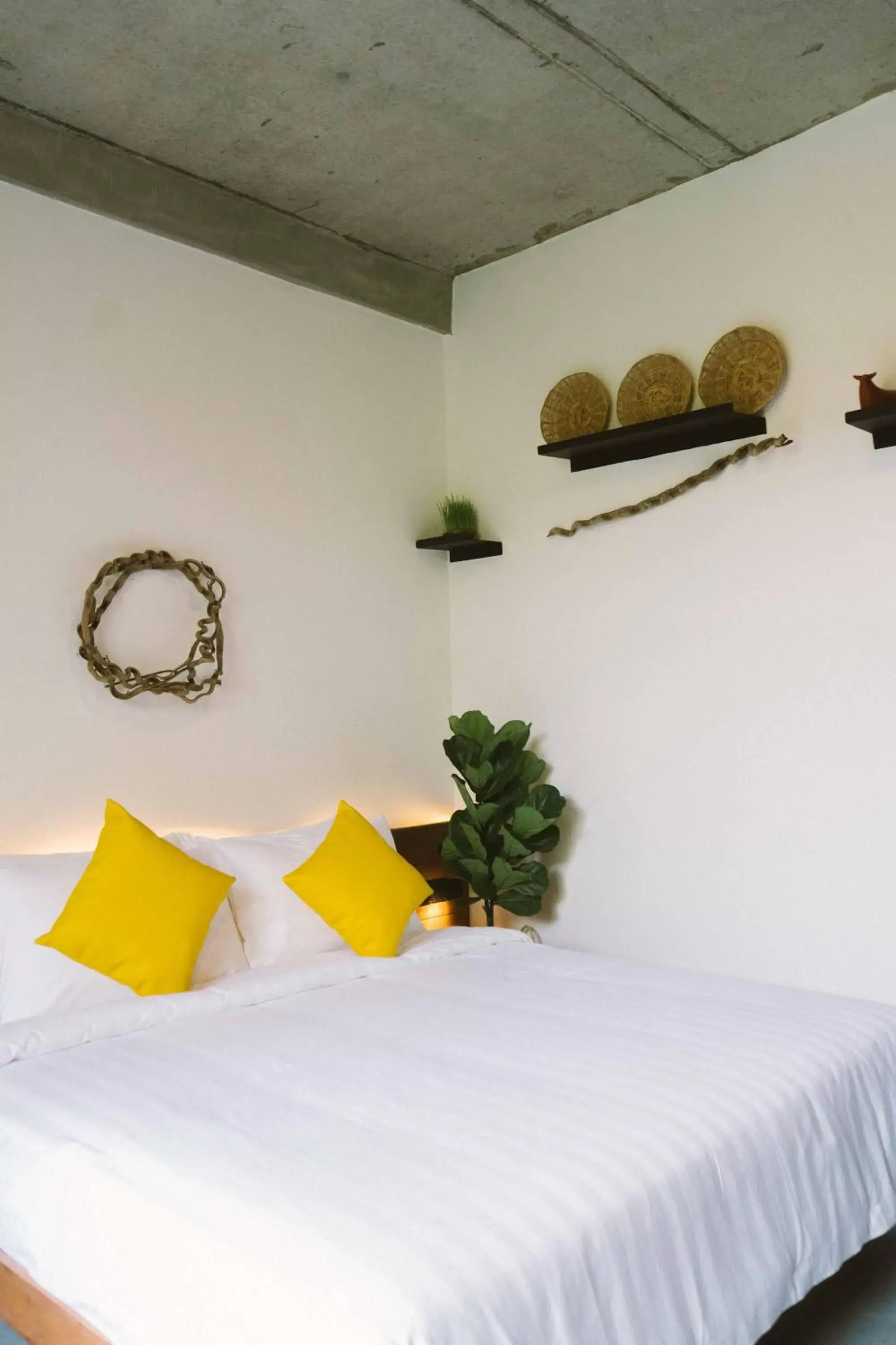 Photo of the whole room, Bed in Larimar Hotel & Resort Photo of the whole room, Bed in Larimar Hotel & Resort