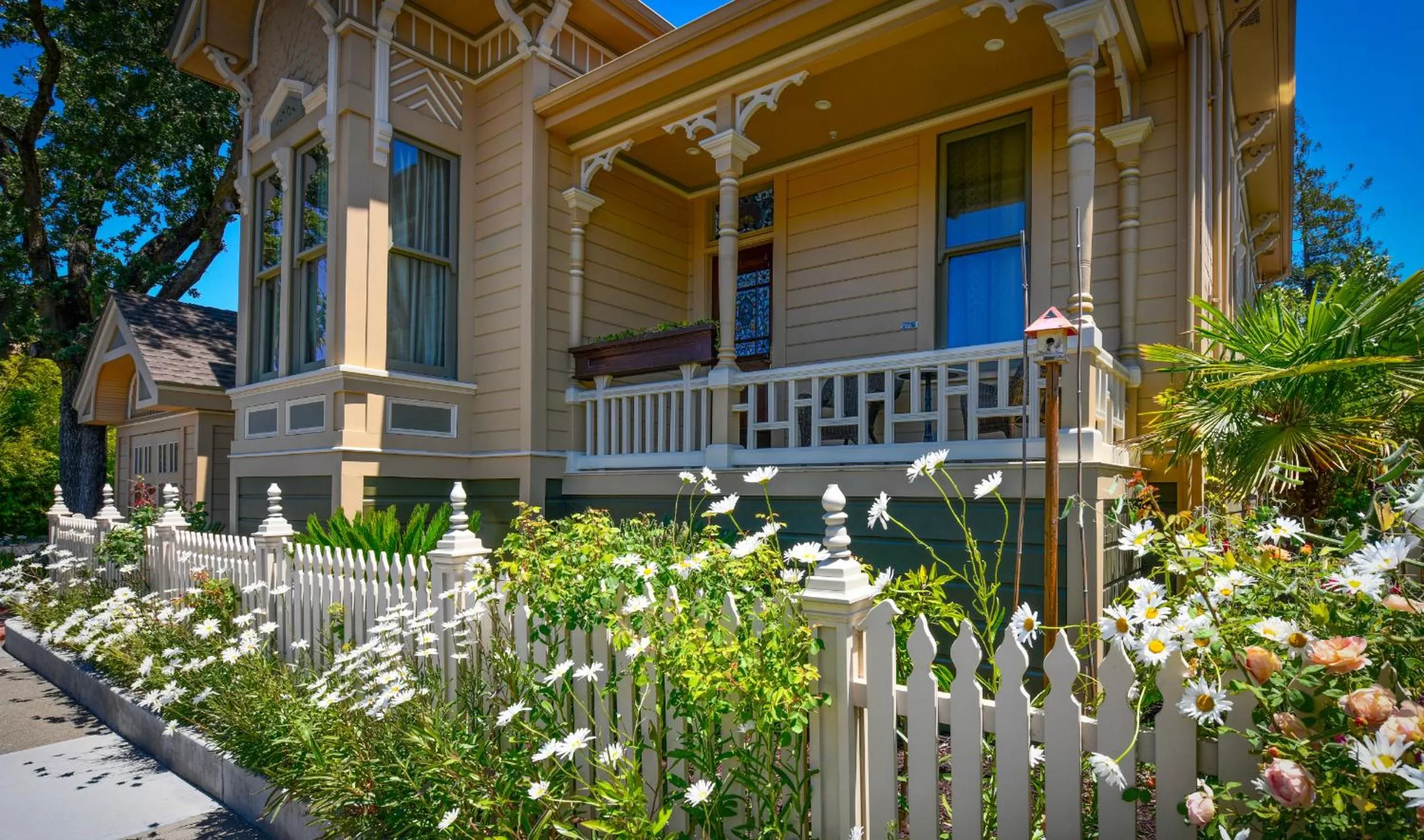 Spring in Blackbird Inn