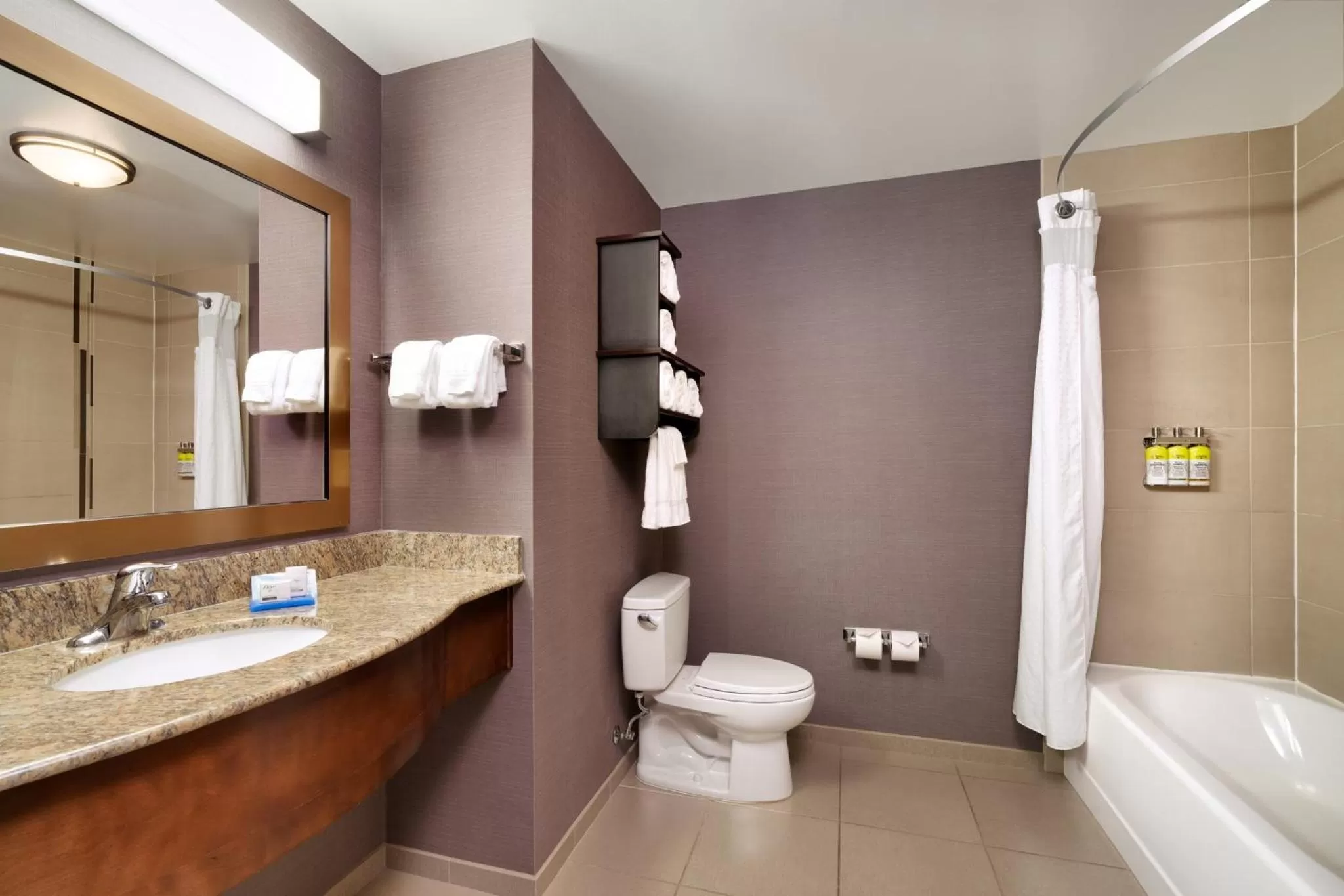 Bathroom in Holiday Inn Express Hotel & Suites Billings by IHG