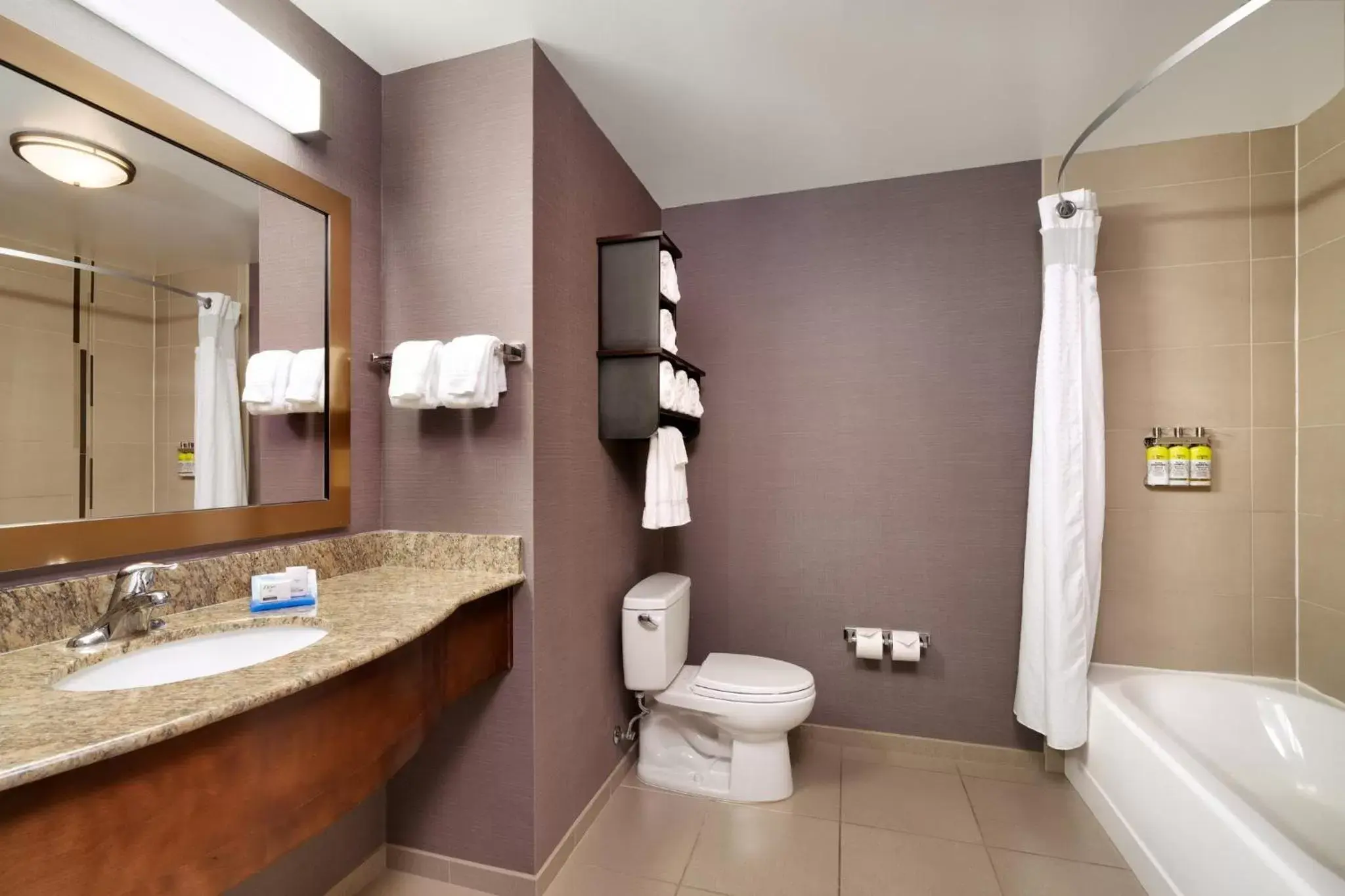 Bathroom in Holiday Inn Express Hotel & Suites Billings, an IHG Hotel