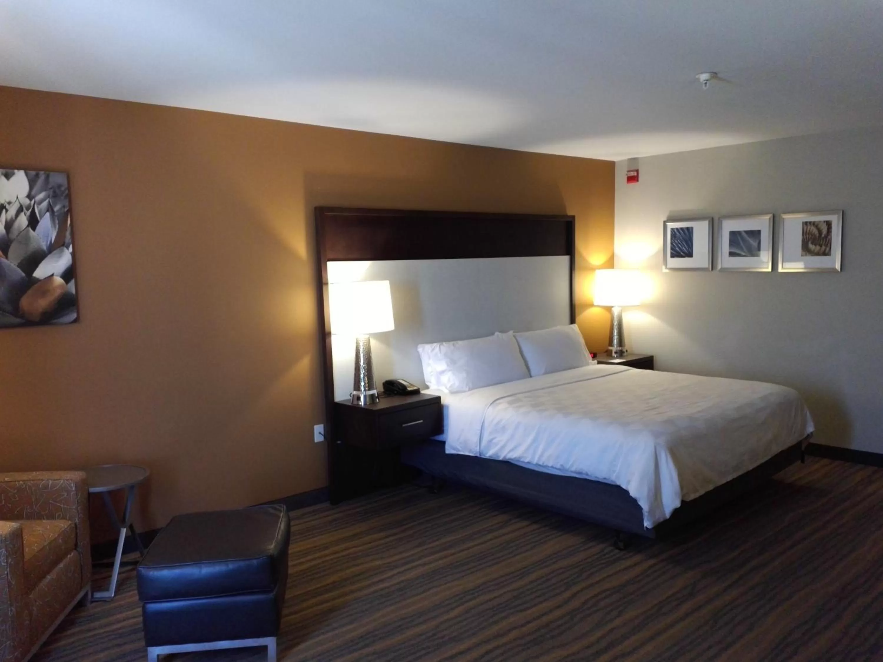 King Room with Roll-In Shower - Disability Access in Holiday Inn Hotel and Suites Albuquerque - North Interstate 25, an IHG Hotel