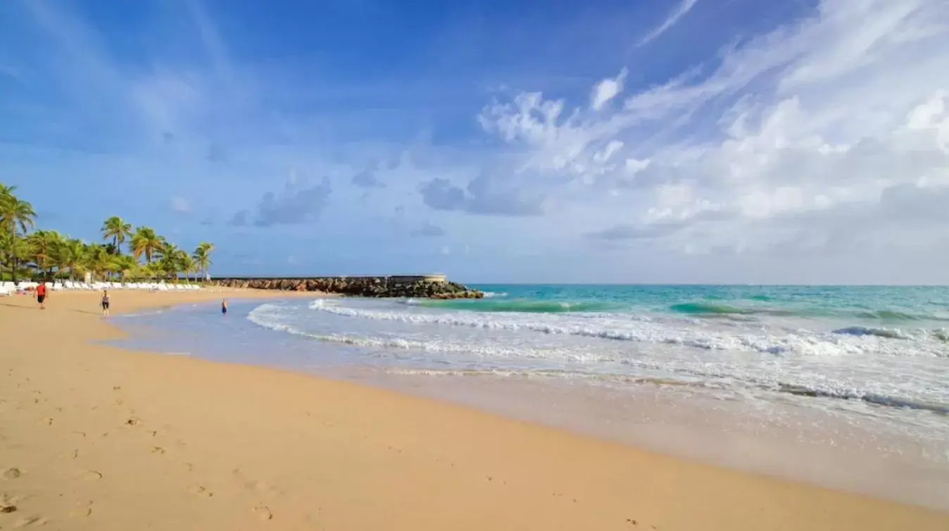 Beach in The Tryst Beachfront Hotel