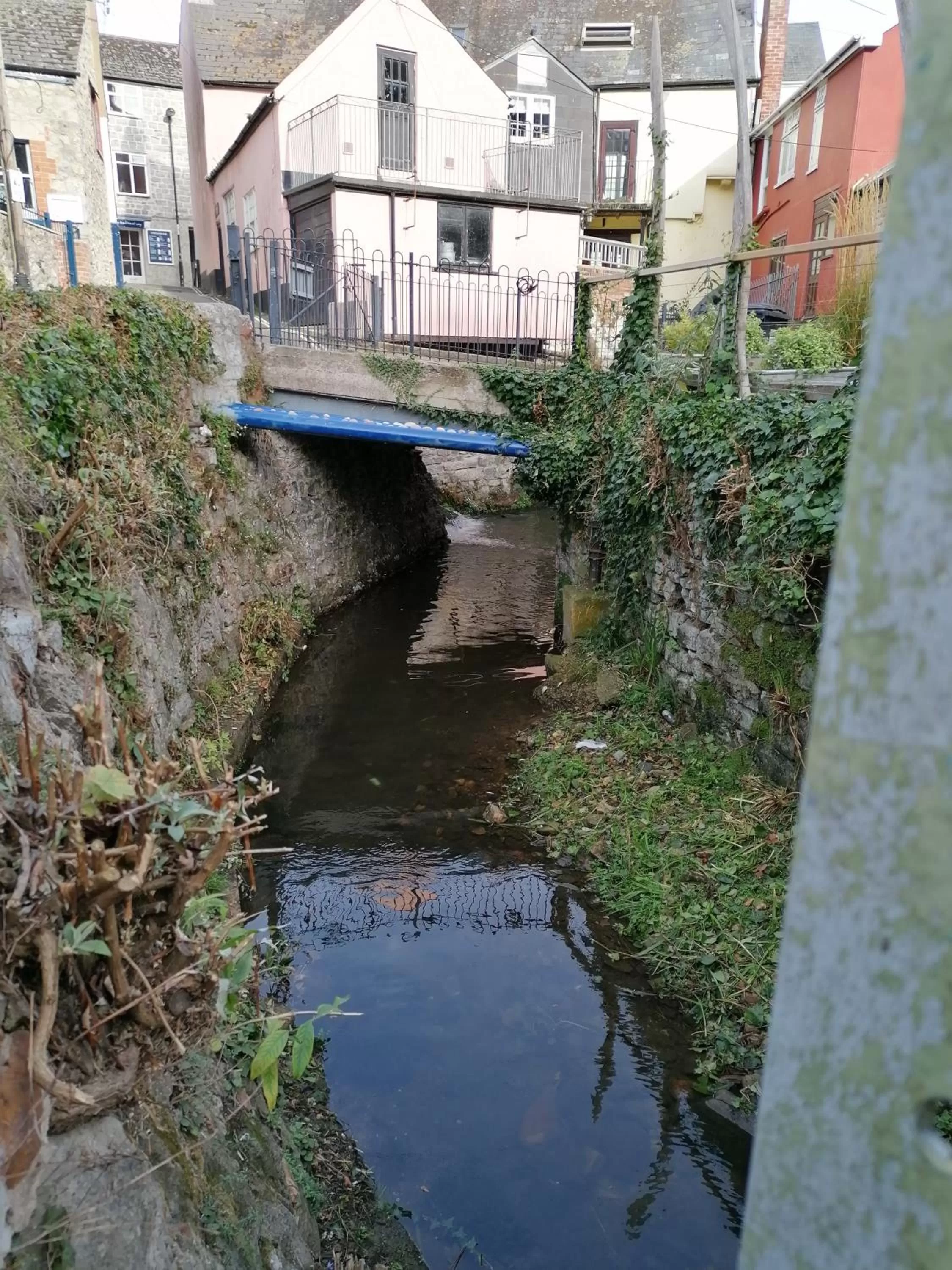 Natural landscape in The Royal Lion Hotel