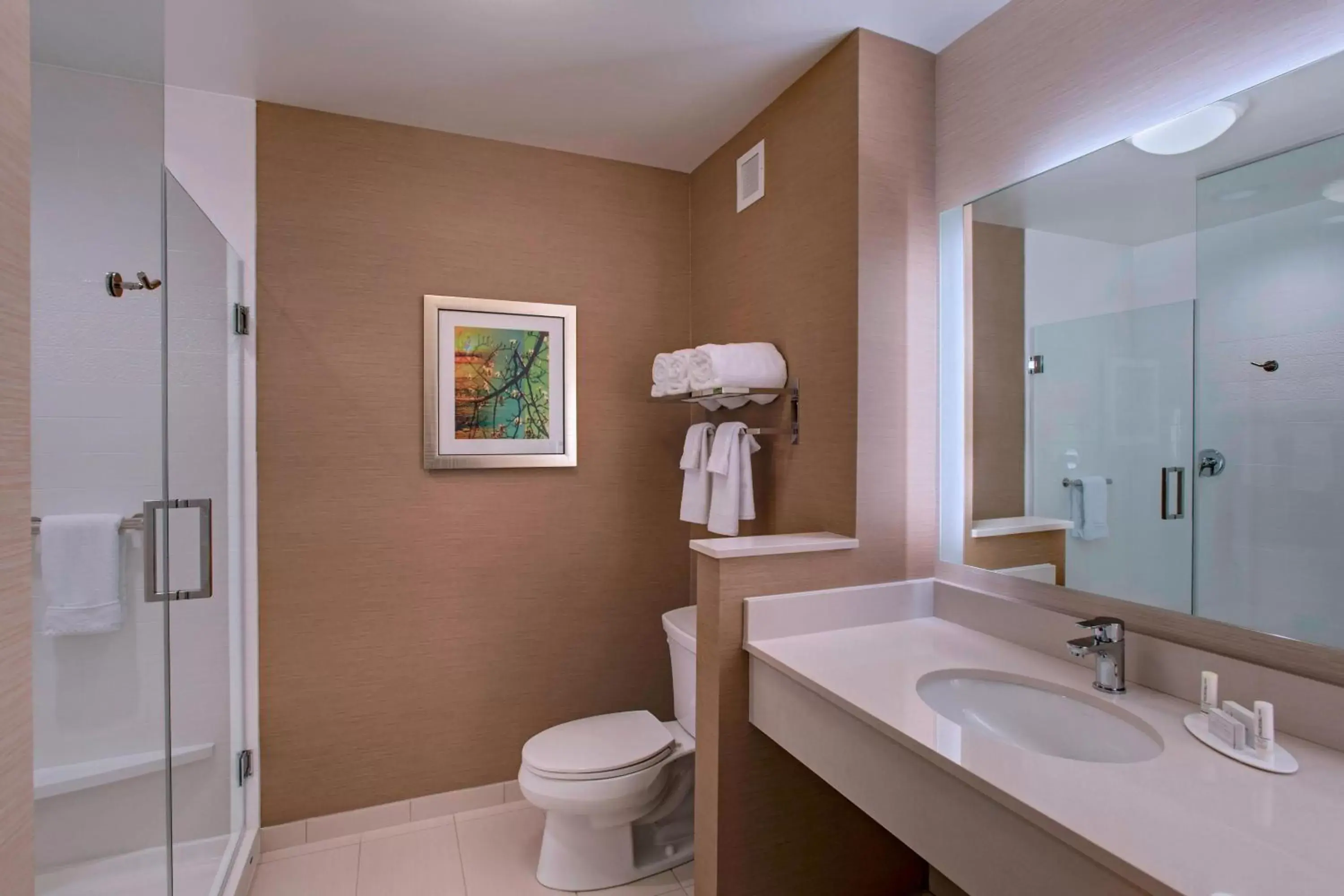 Bathroom in Fairfield Inn & Suites by Marriott La Crosse Downtown