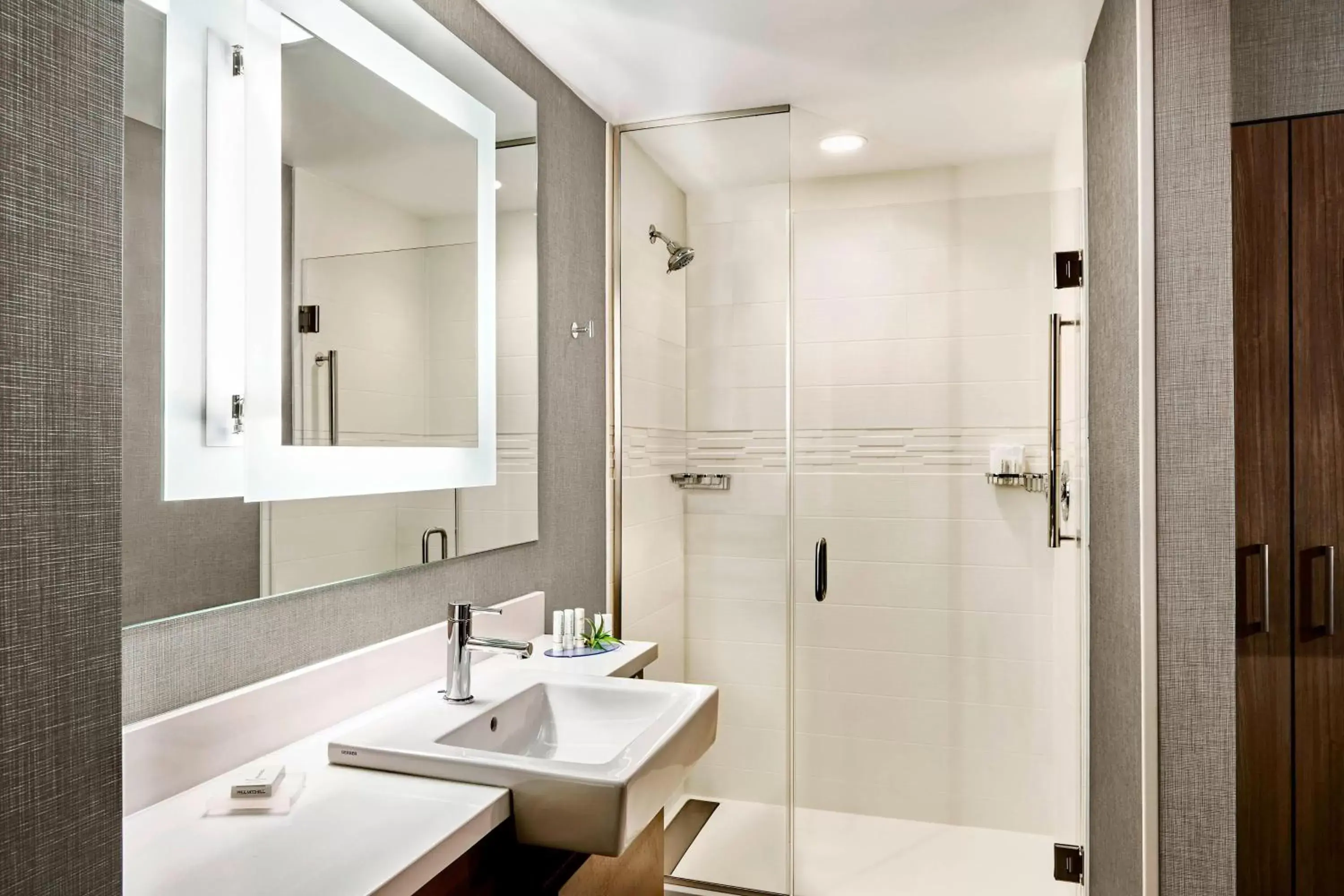 Bathroom in SpringHill Suites by Marriott Lake Charles