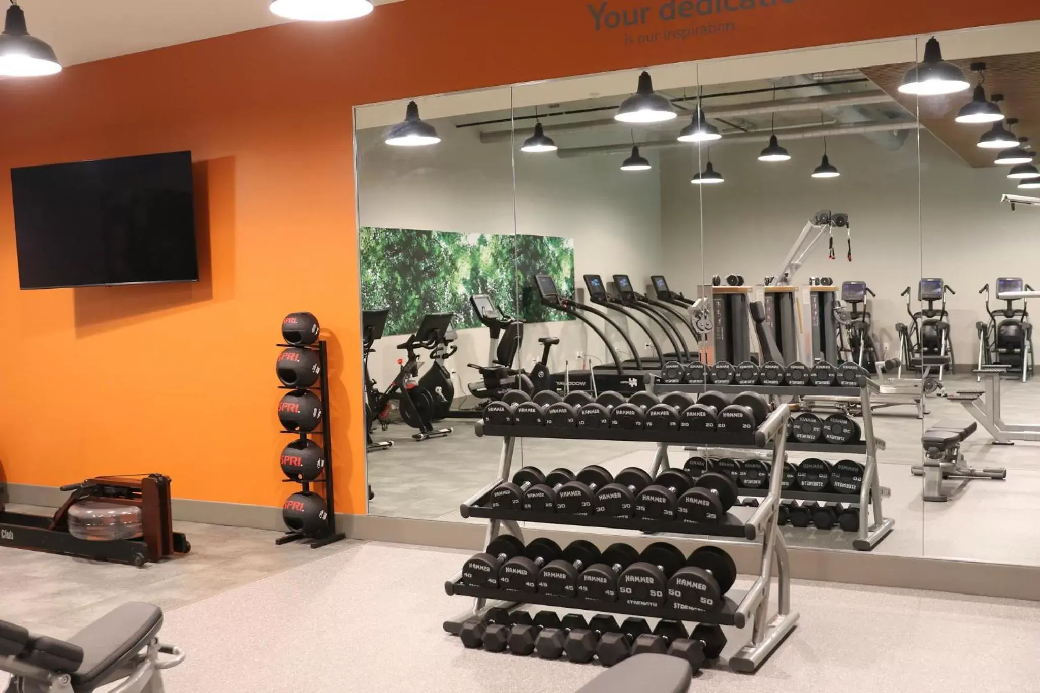 Fitness centre/facilities, Fitness Center/Facilities in Staybridge Suites Rochester - Mayo Clinic Area, an IHG Hotel