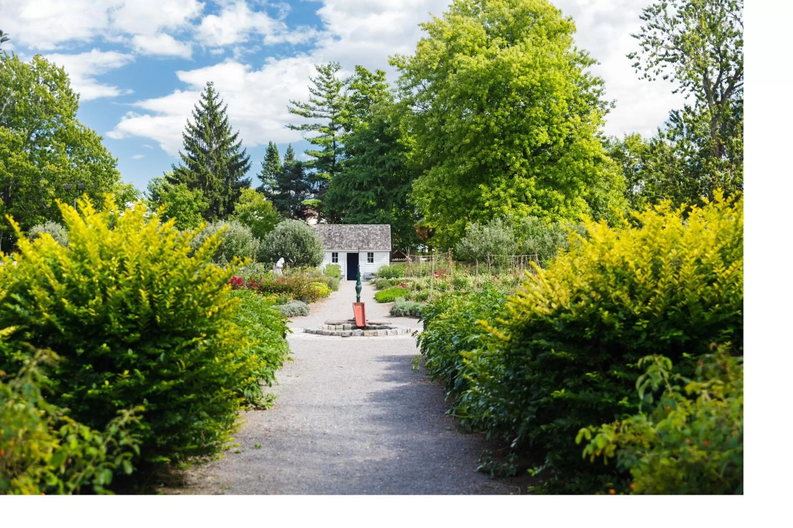 Area and facilities in Staybridge Suites Hamilton - Downtown by IHG