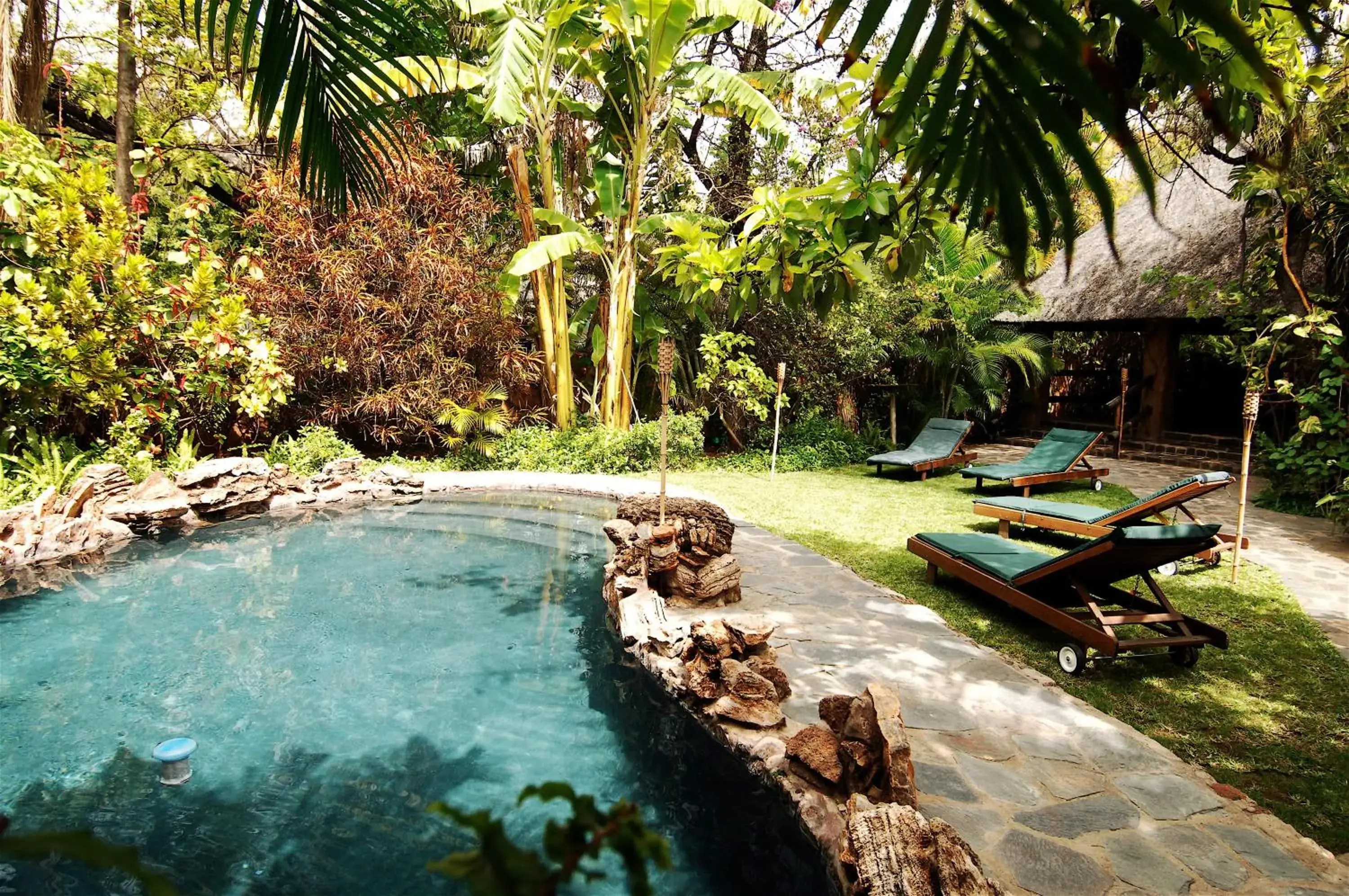 Garden, Swimming Pool in Kaia Tani