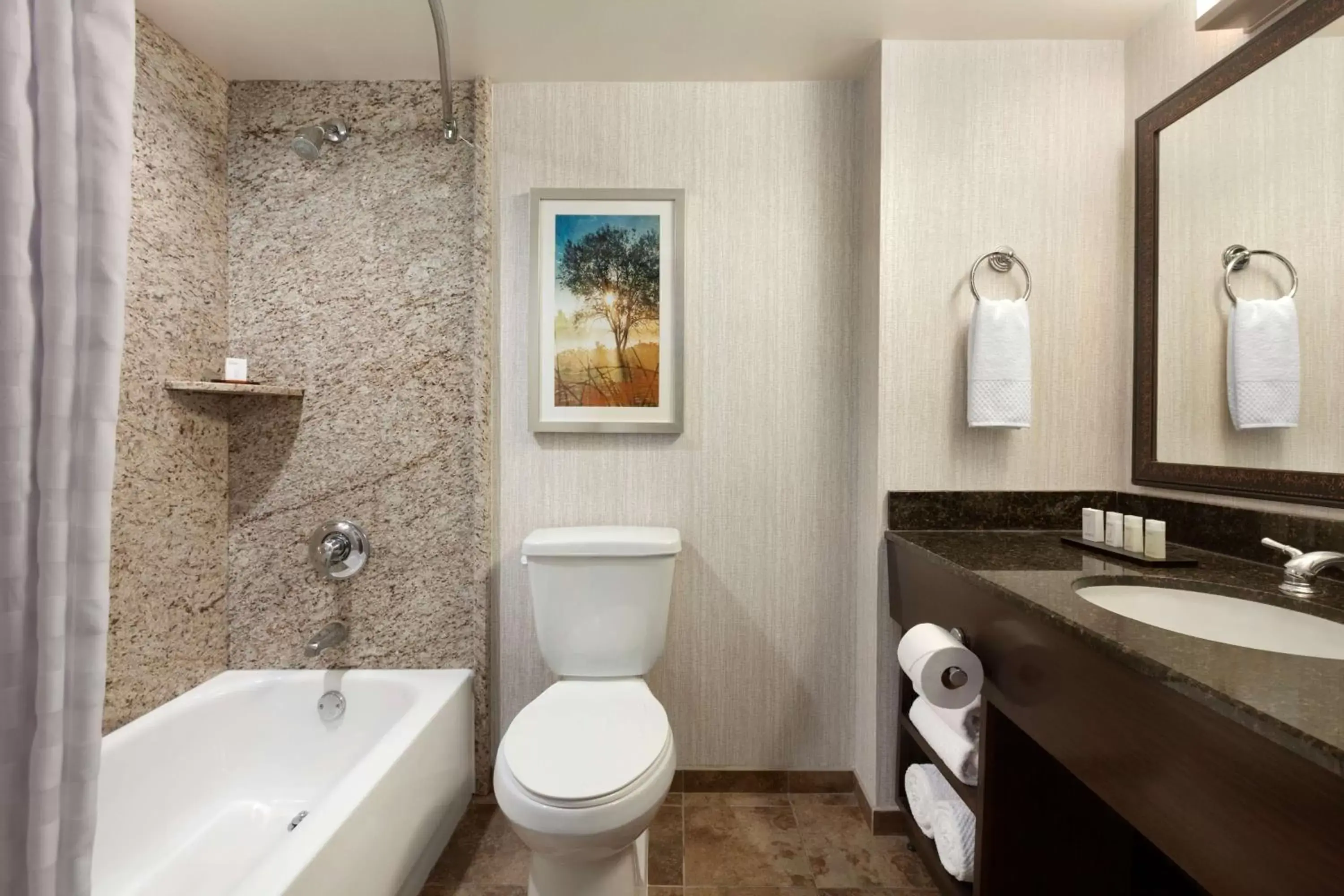 Bathroom in Embassy Suites by Hilton Brea - North Orange County