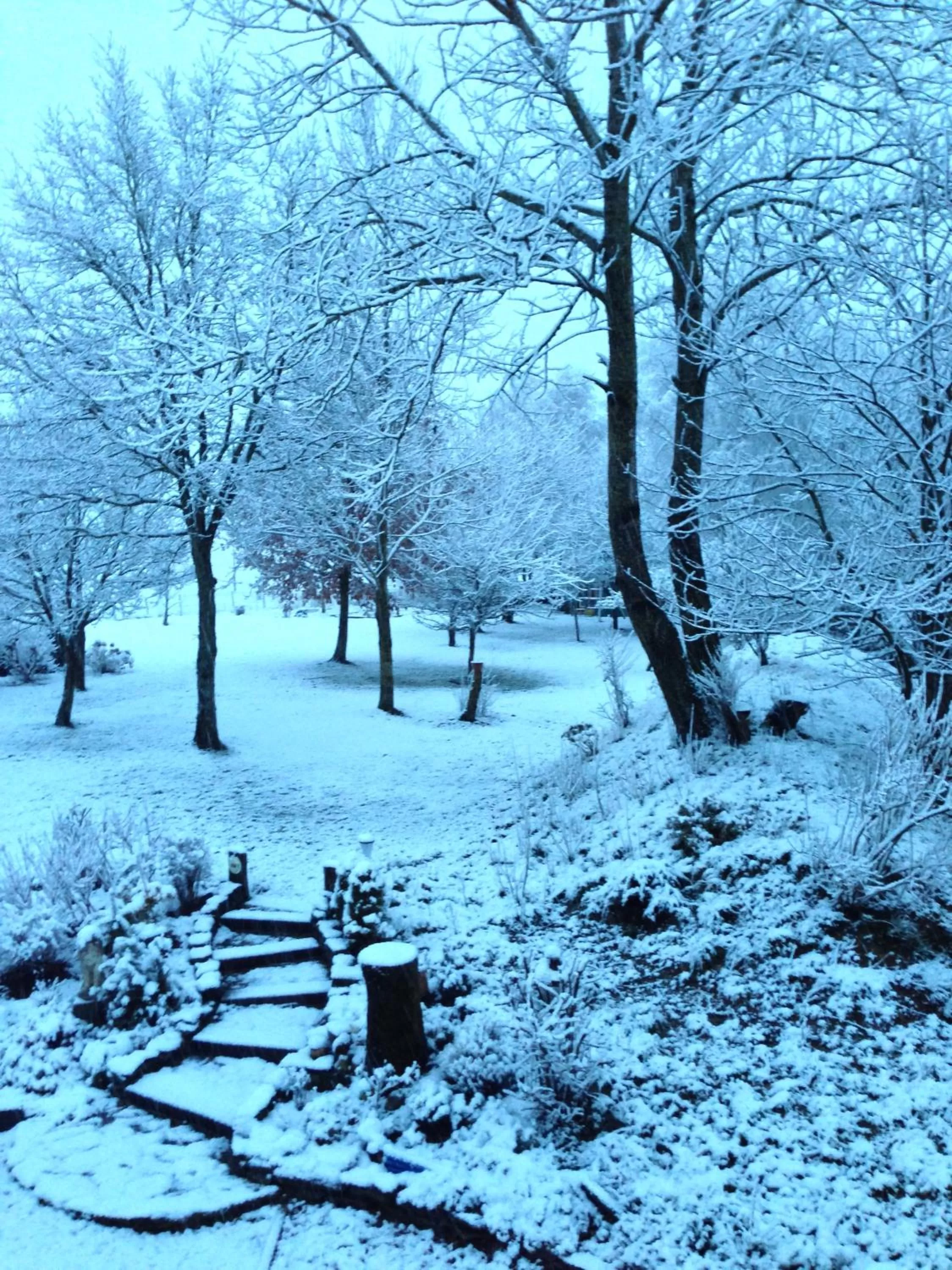 View (from property/room) in B&B La Niouche