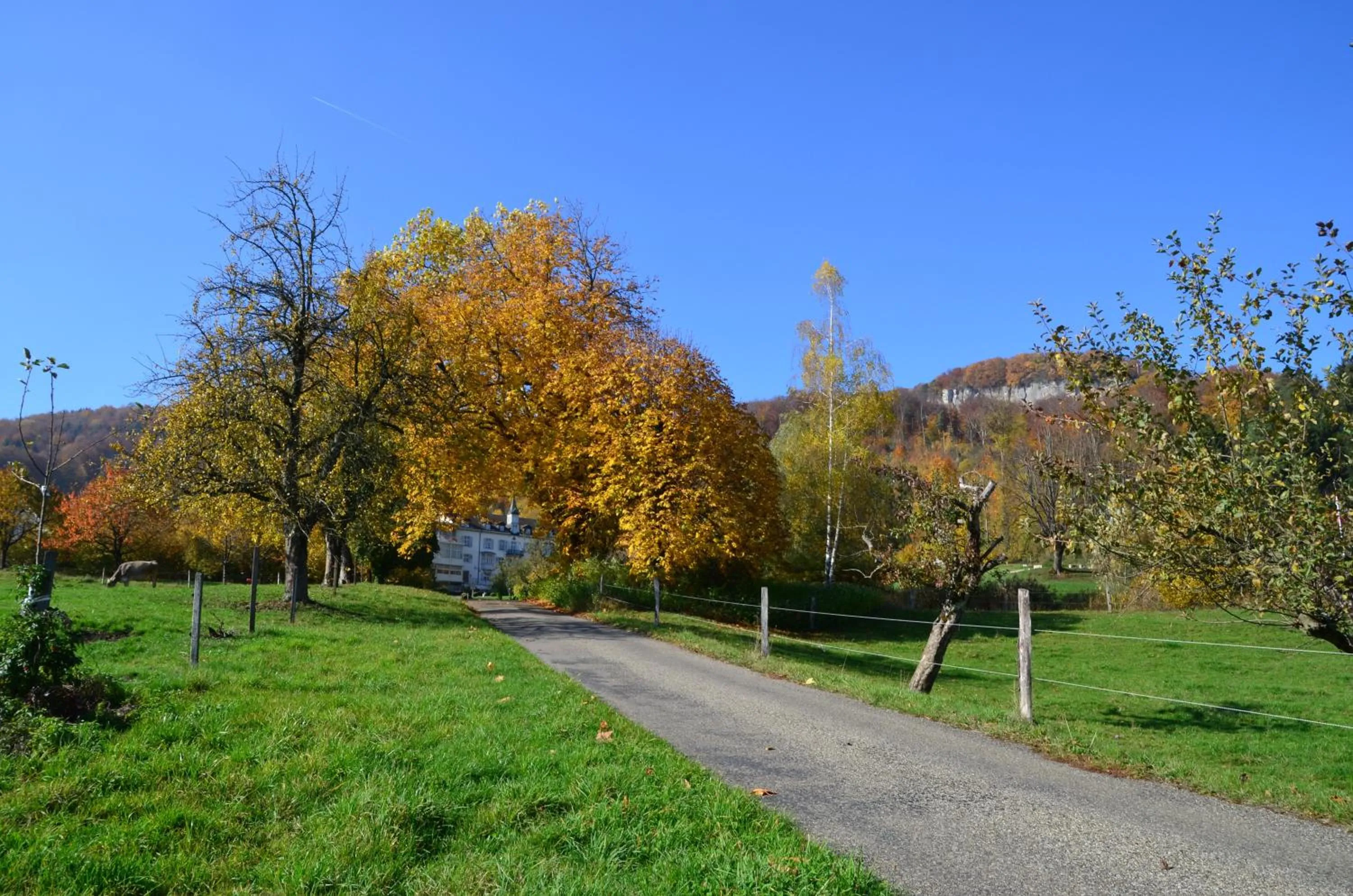 Day in Bad Schauenburg