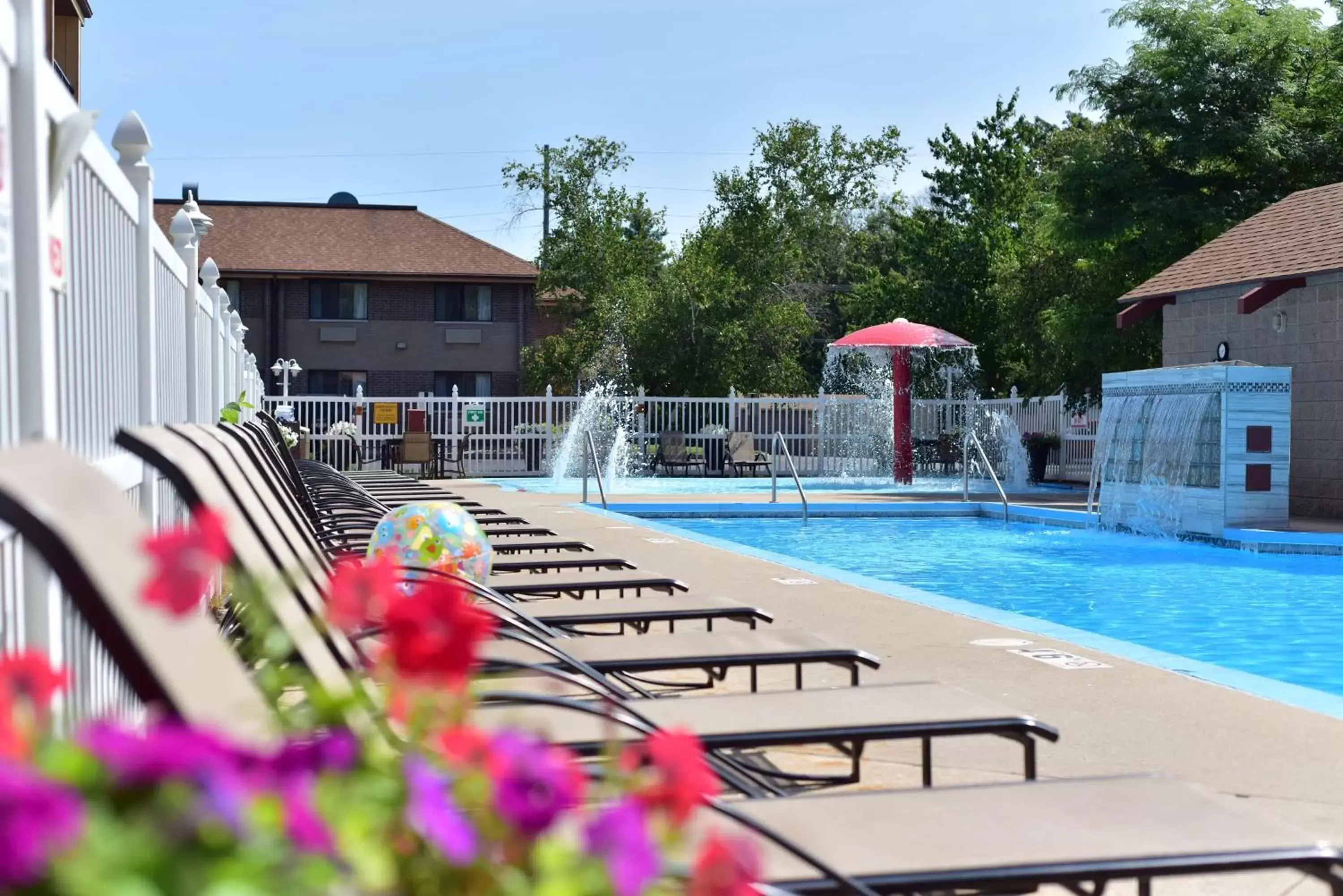 On site, Swimming Pool in Best Western Ambassador Inn & Suites