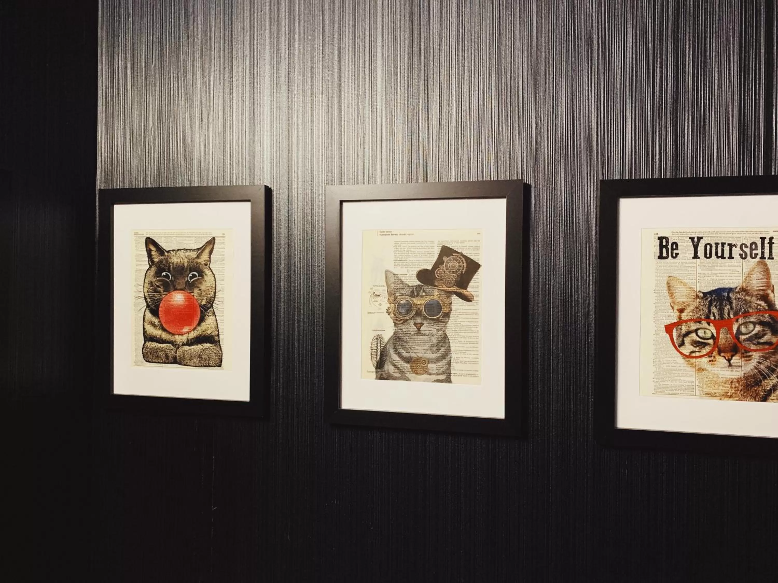 Area and facilities in Hotel Mimosa