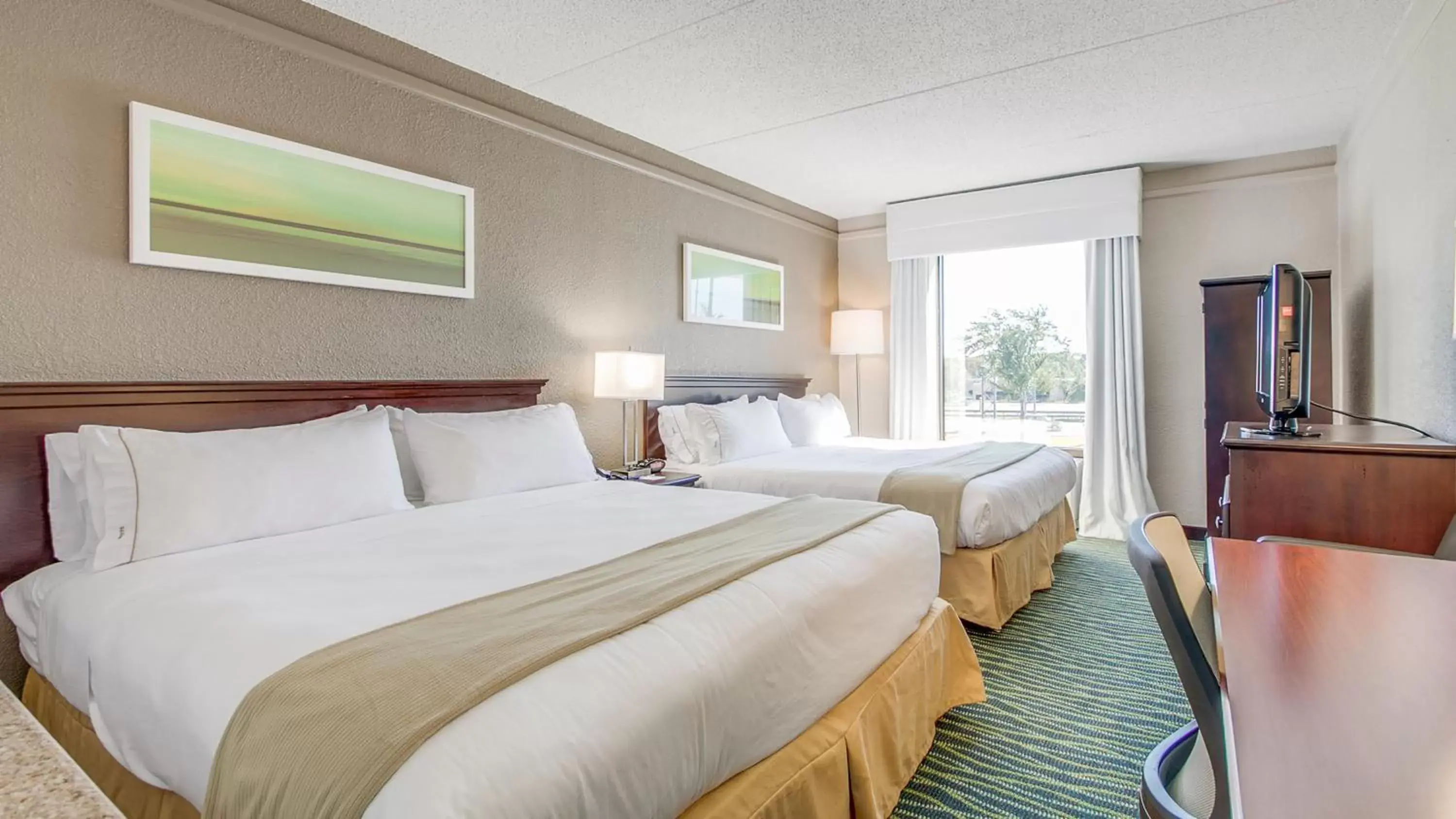 Photo of the whole room, Bed in Holiday Inn Express Hotel & Suites Midlothian Turnpike, an IHG Hotel