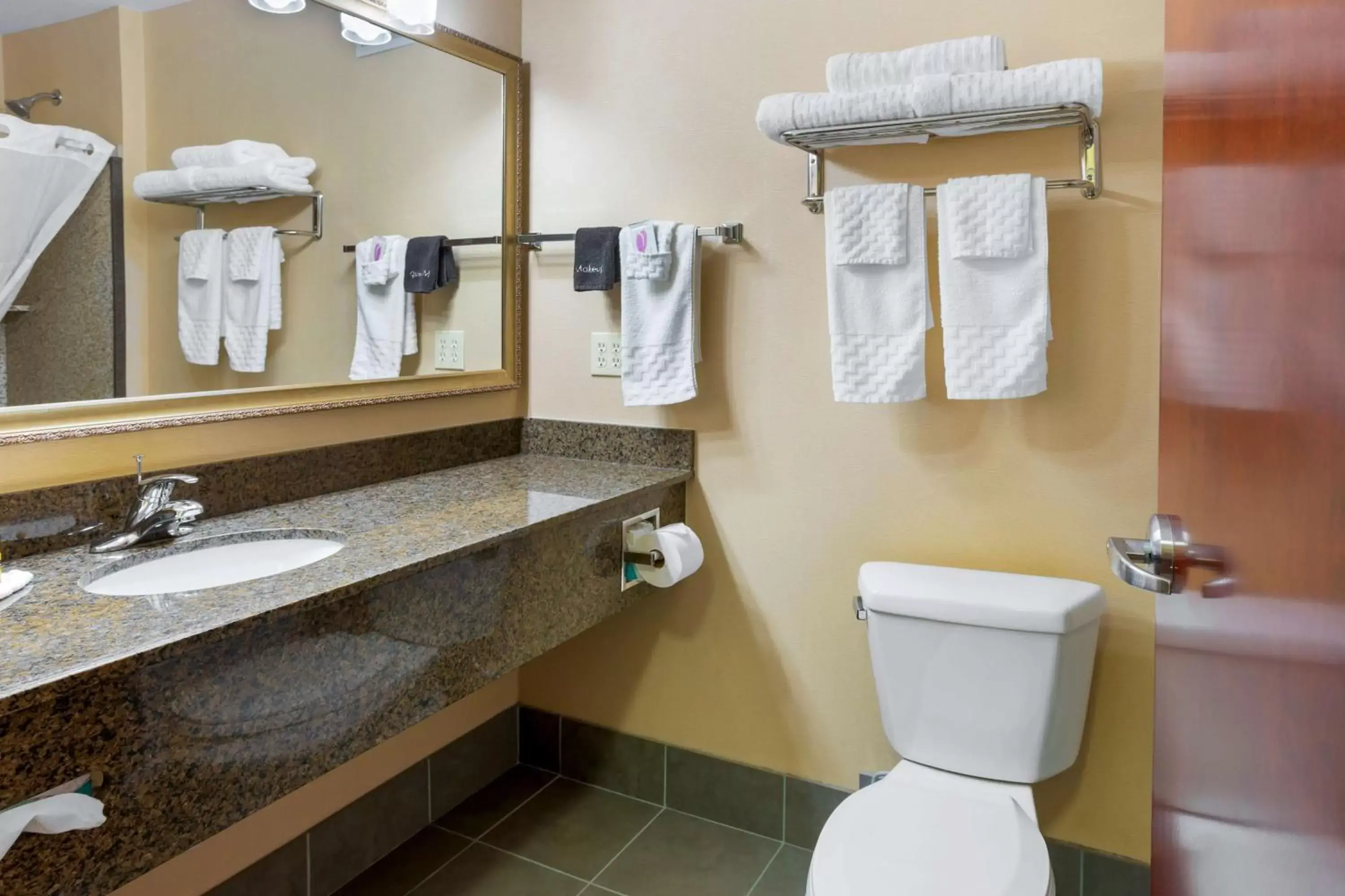 Bathroom in Best Western PLUS Fossil Country Inn & Suites