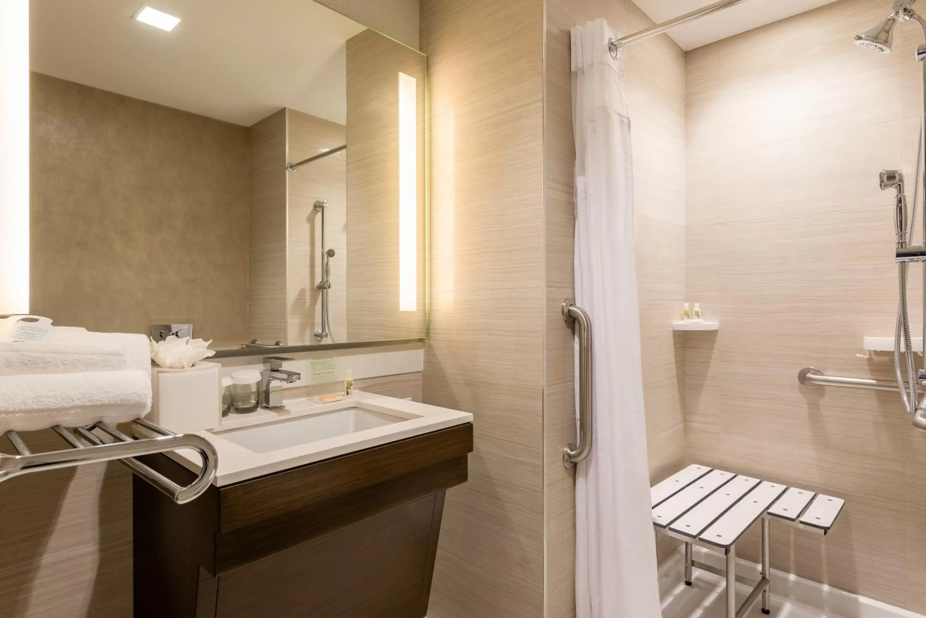 Photo of the whole room, Bathroom in Holiday Inn Brooklyn Downtown, an IHG Hotel