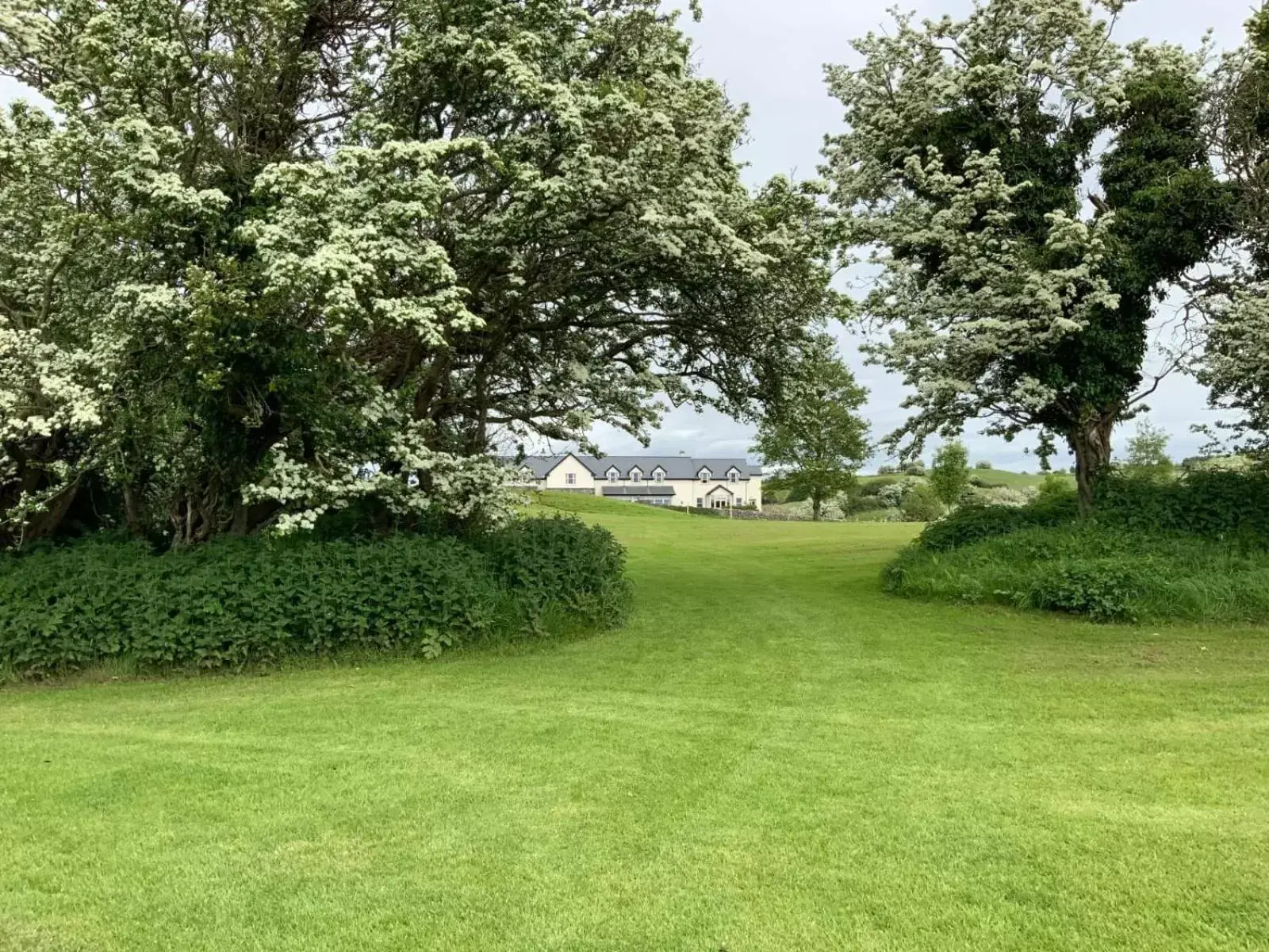 Garden in Westport Country Lodge Hotel