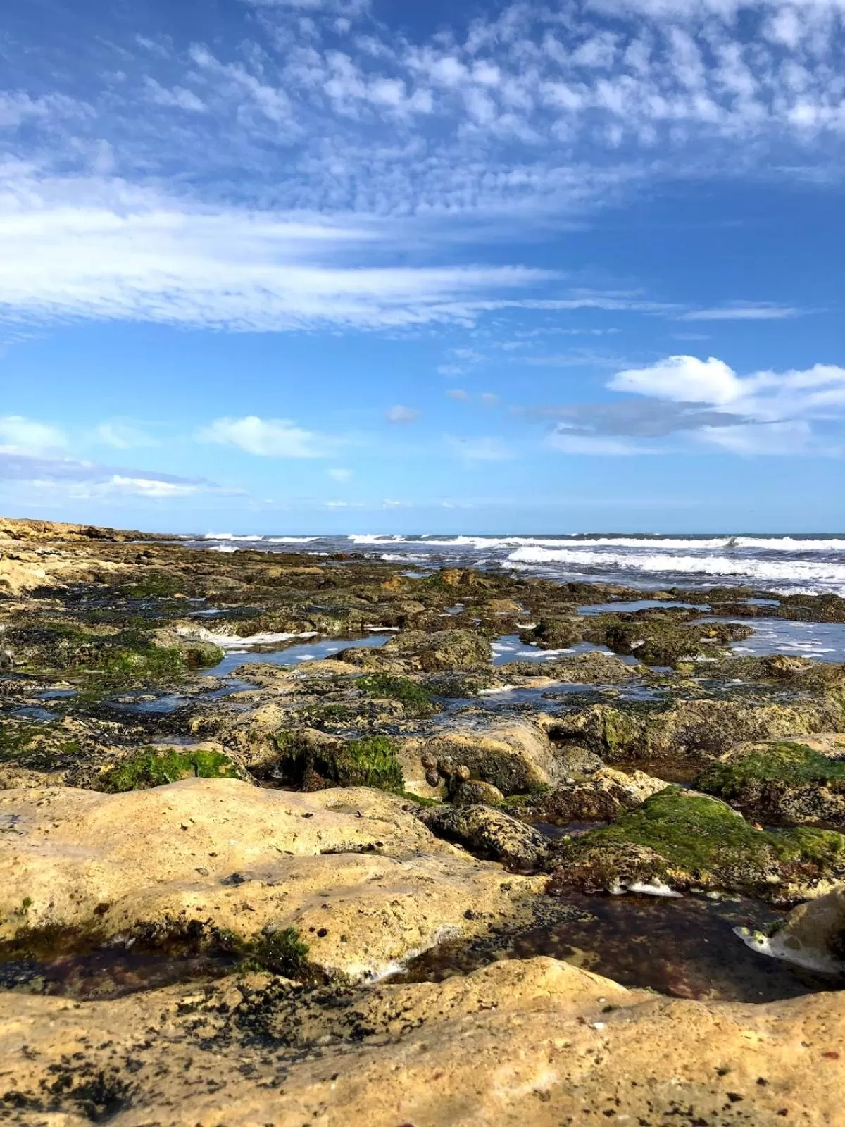 Natural landscape in Quinta Pedra Dos Bicos