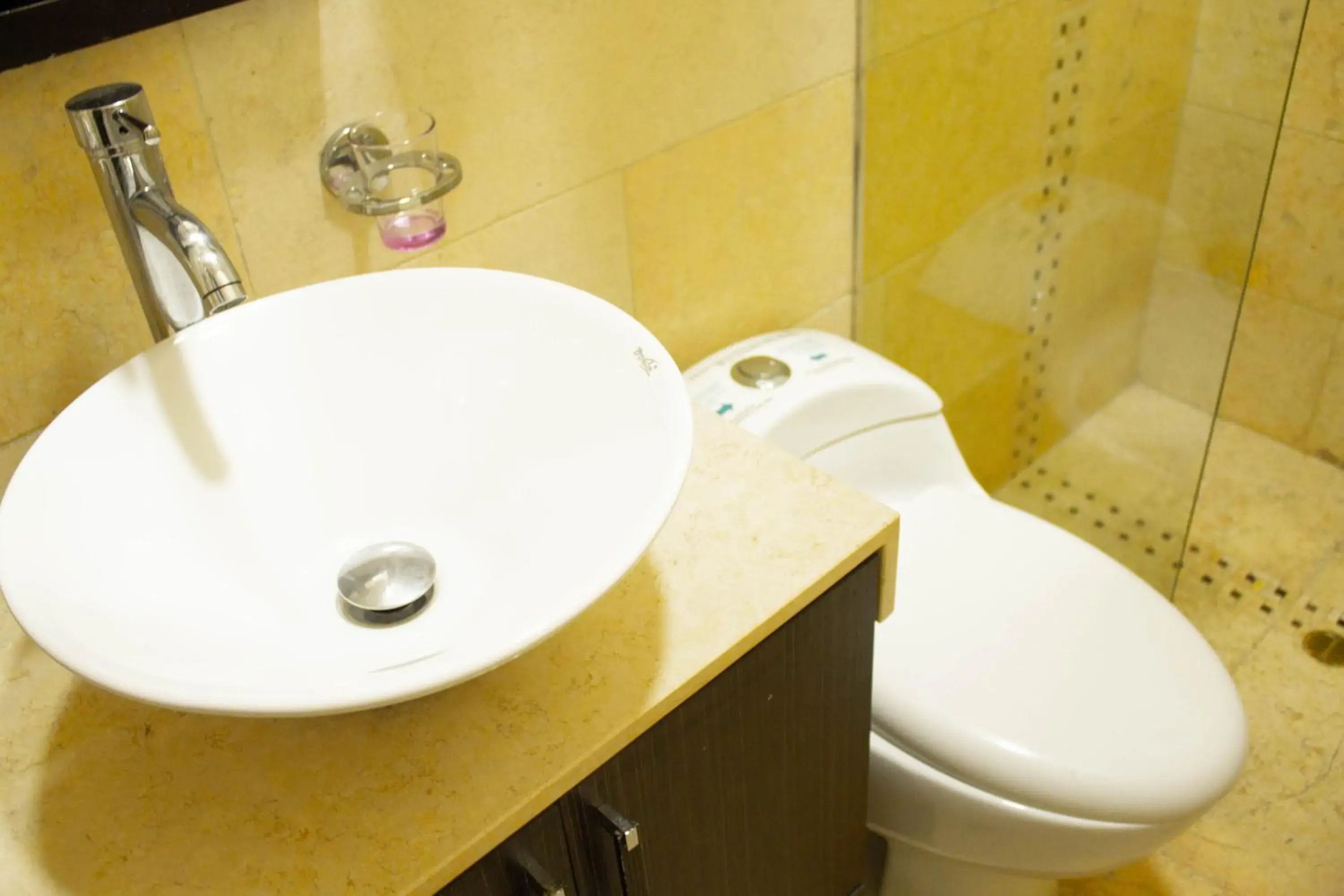 Toilet, Bathroom in Hotel Bolivariana Plaza