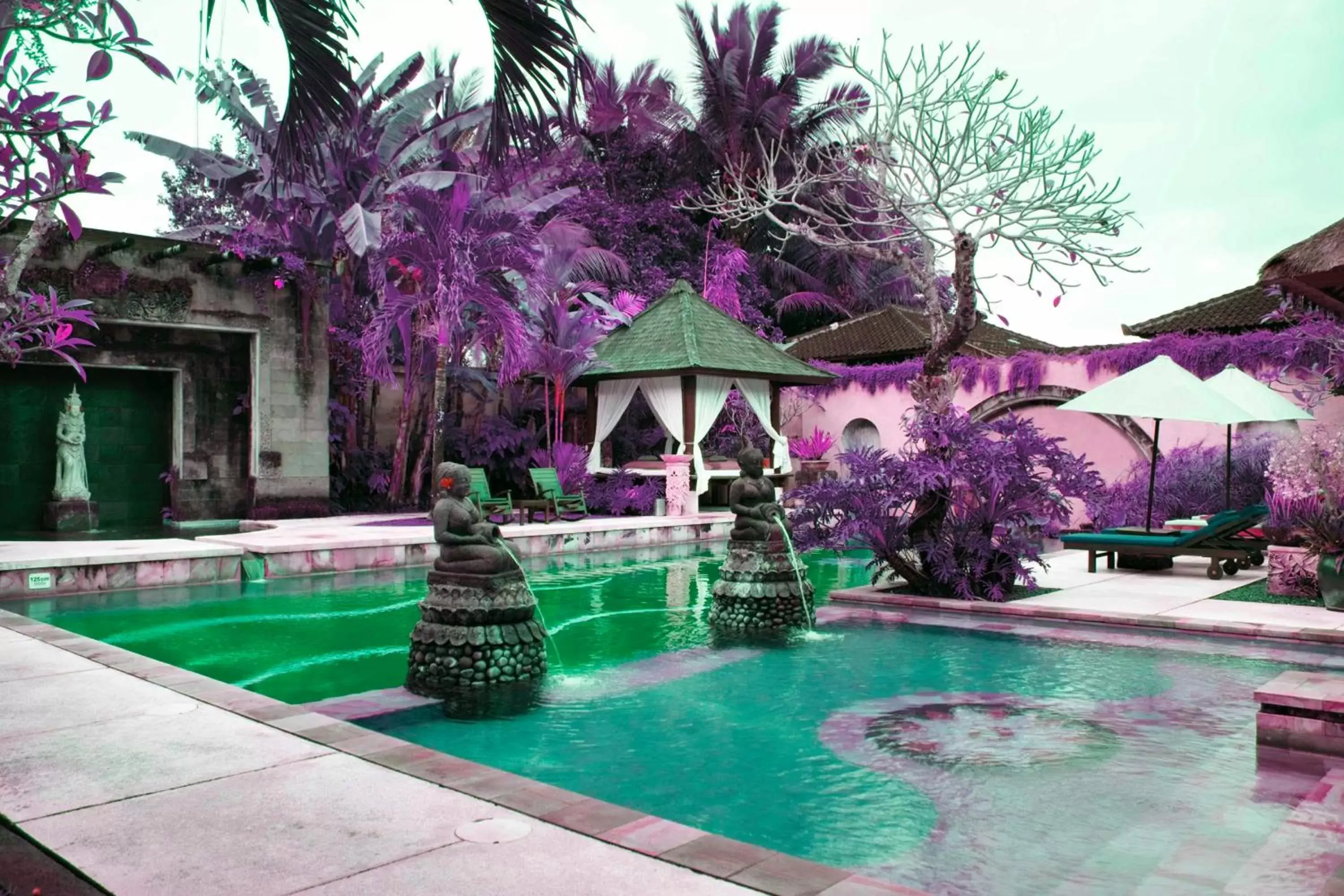 Swimming Pool in Bebek Tepi Sawah Restaurant & Villas