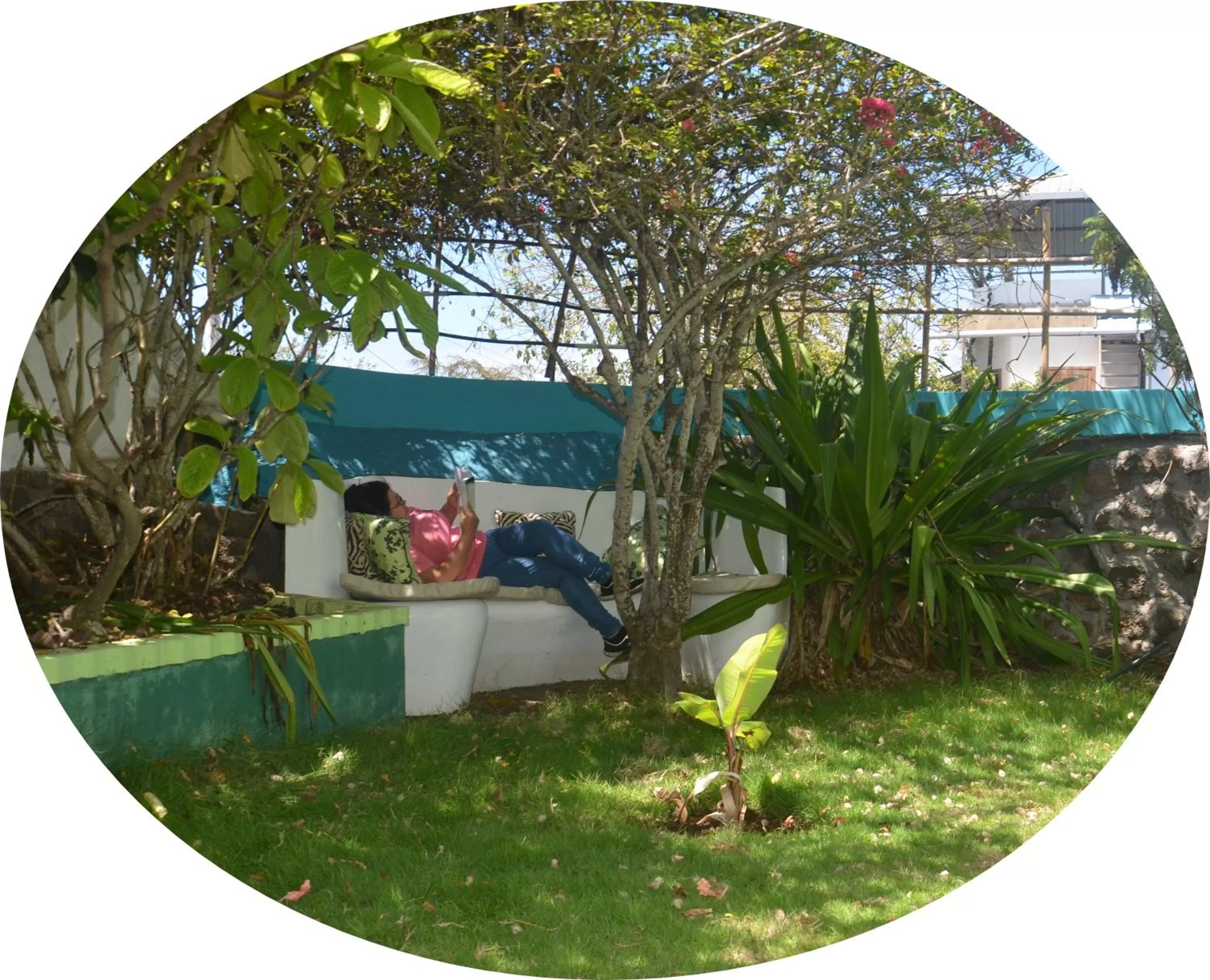 Natural landscape in Hostal Casa Edén