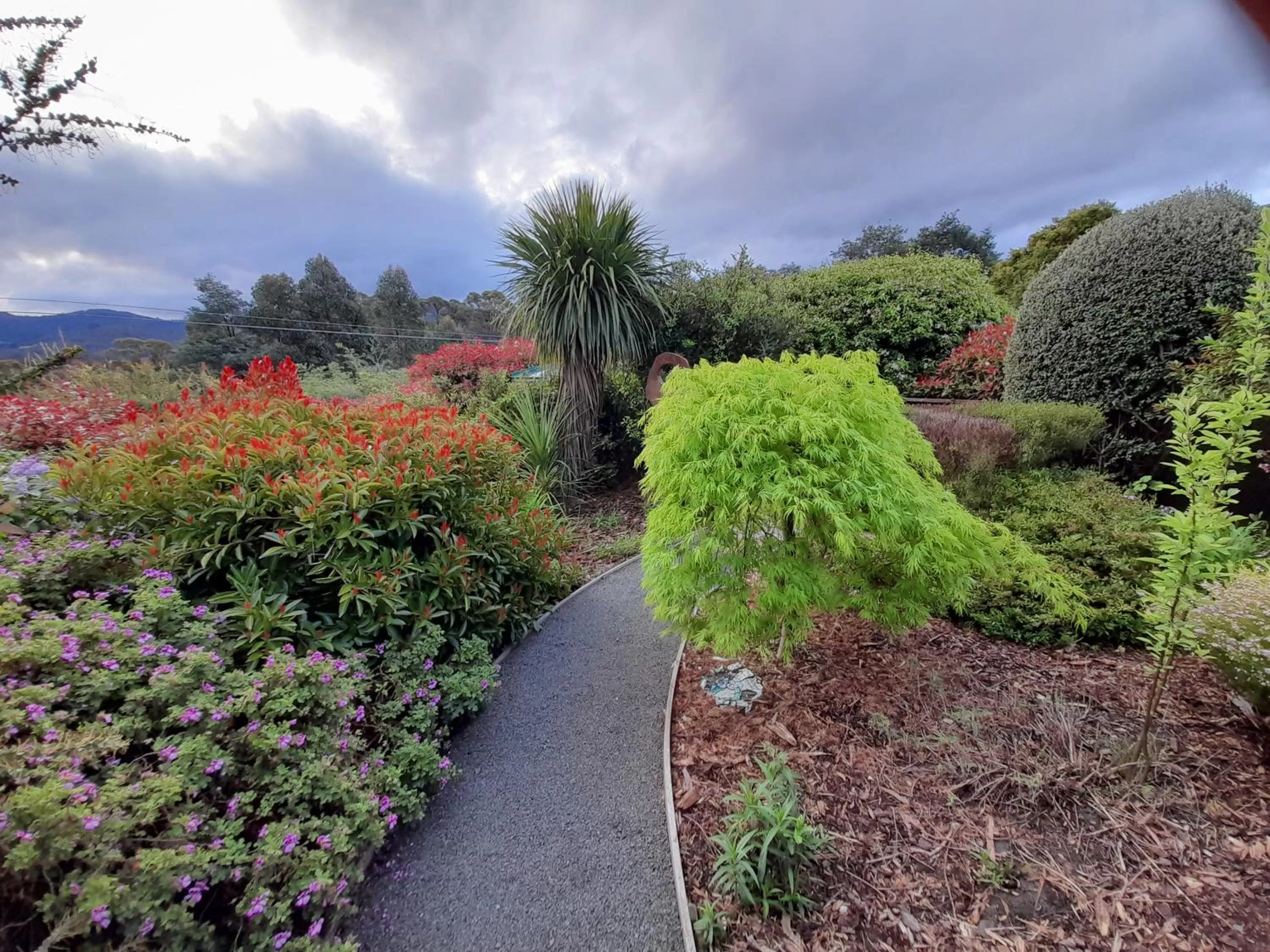 Hillside Bed and Breakfast