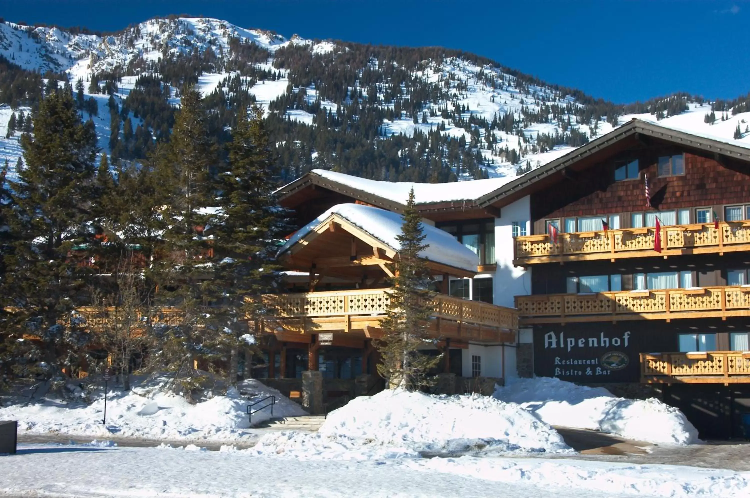 Facade/entrance, Winter in The Alpenhof