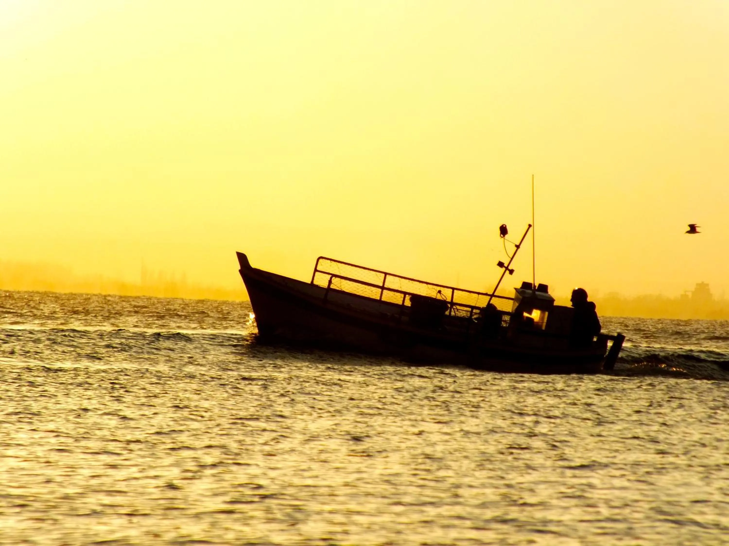 Area and facilities in Canyelles Platja