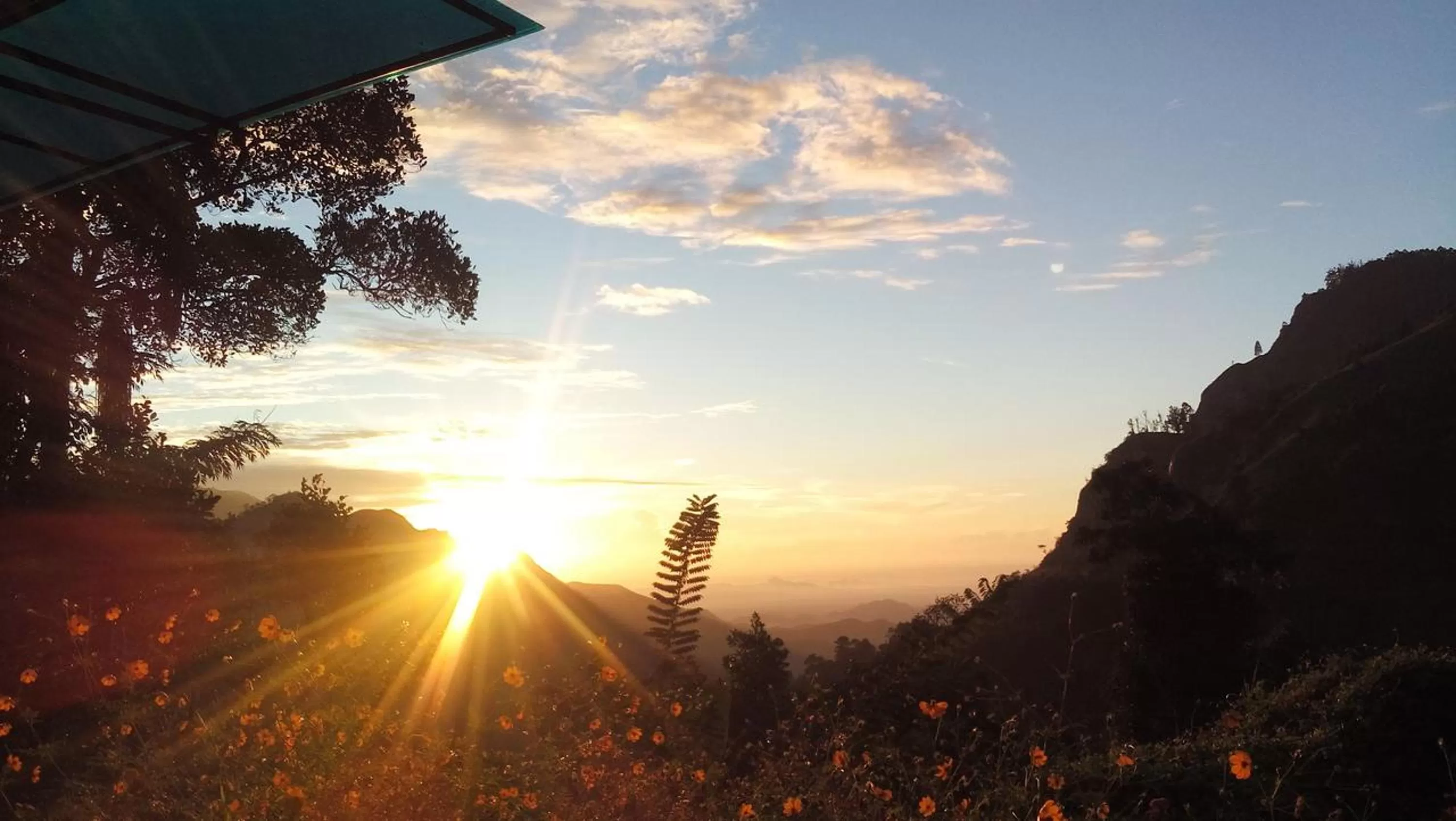 Garden in Blue Ribbon Homestay