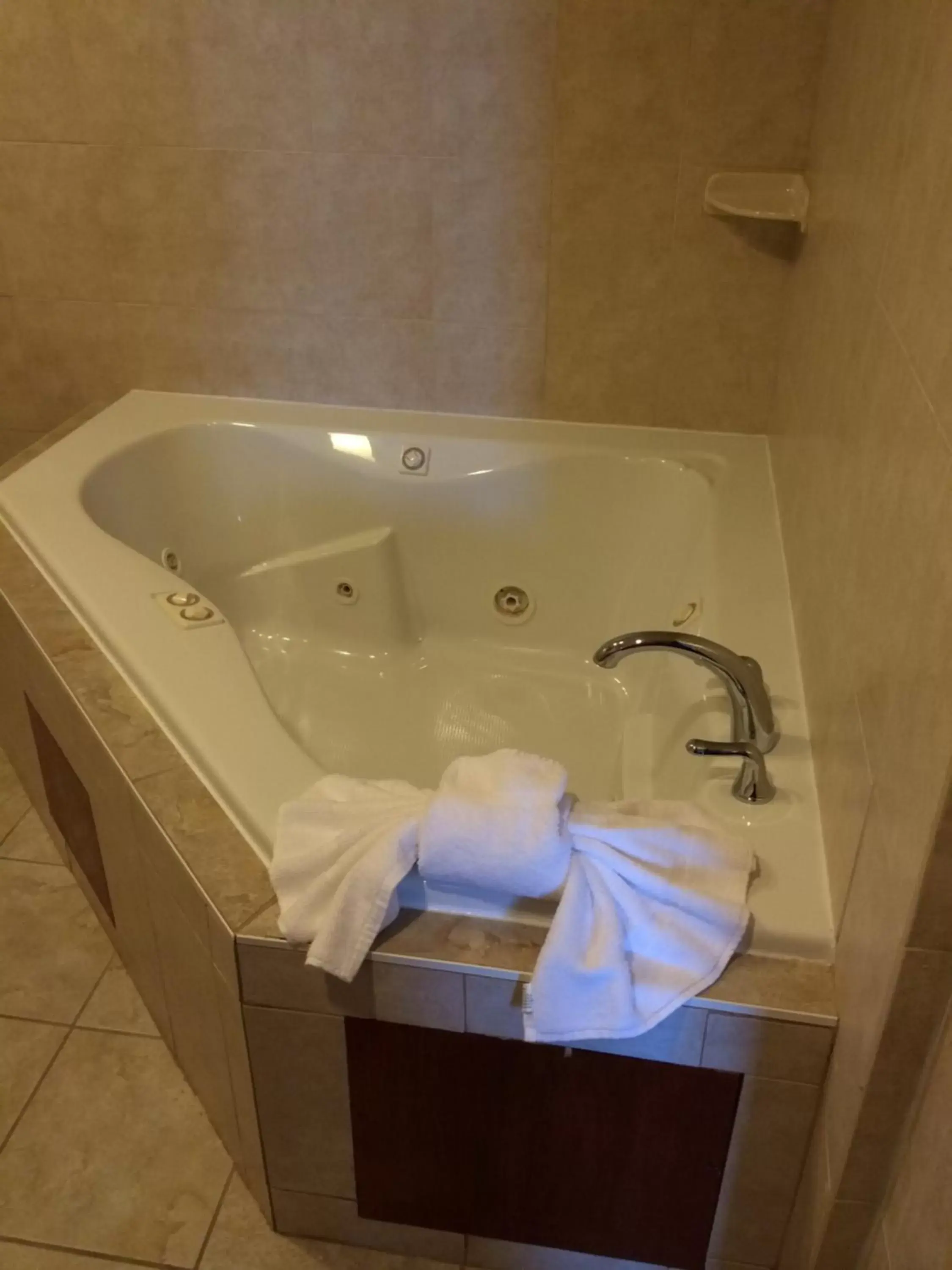 Shower, Bathroom in Pacer Inn & Suites Motel