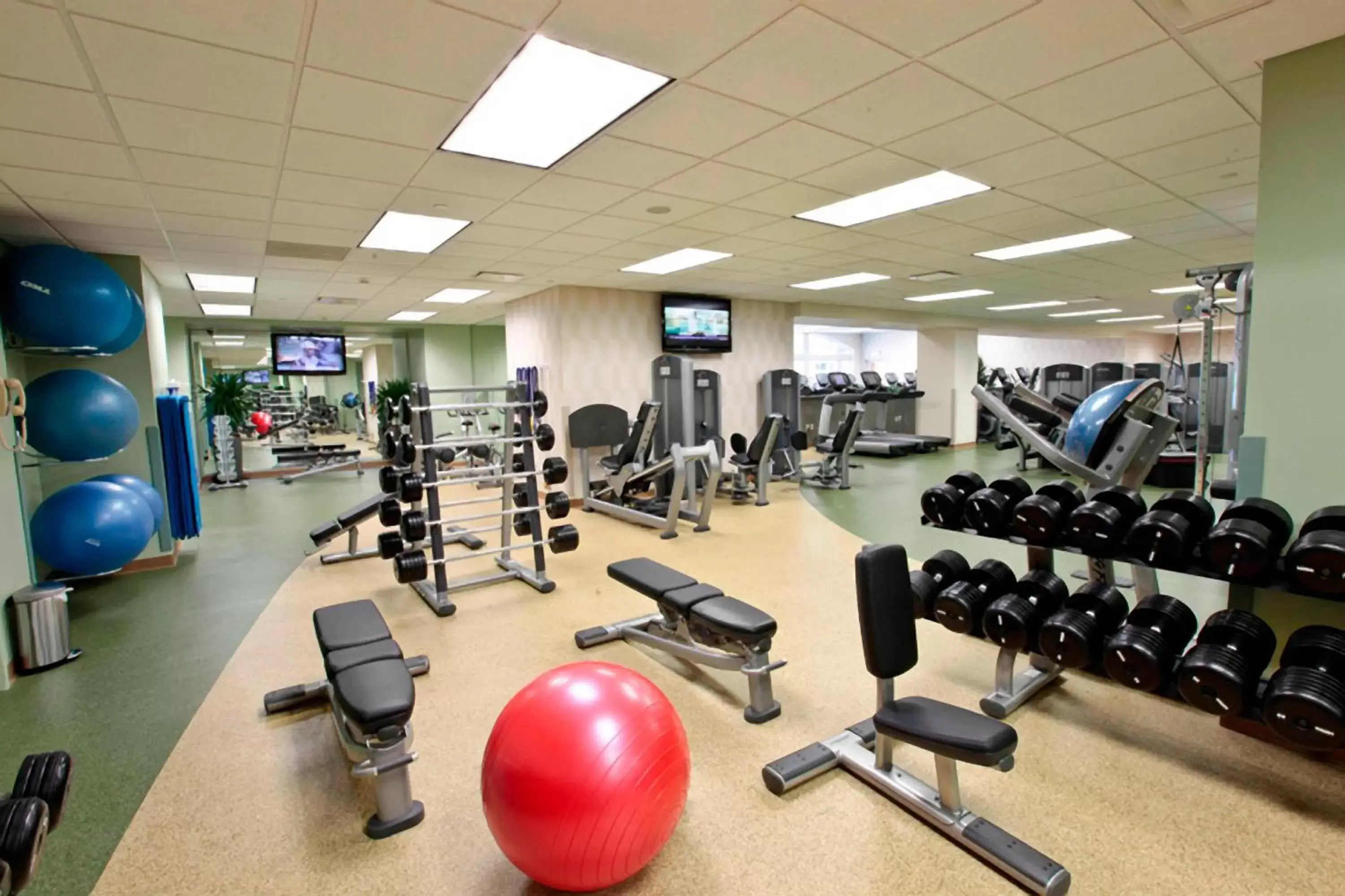 Fitness centre/facilities, Fitness Center/Facilities in Gaylord Palms Resort & Convention Center