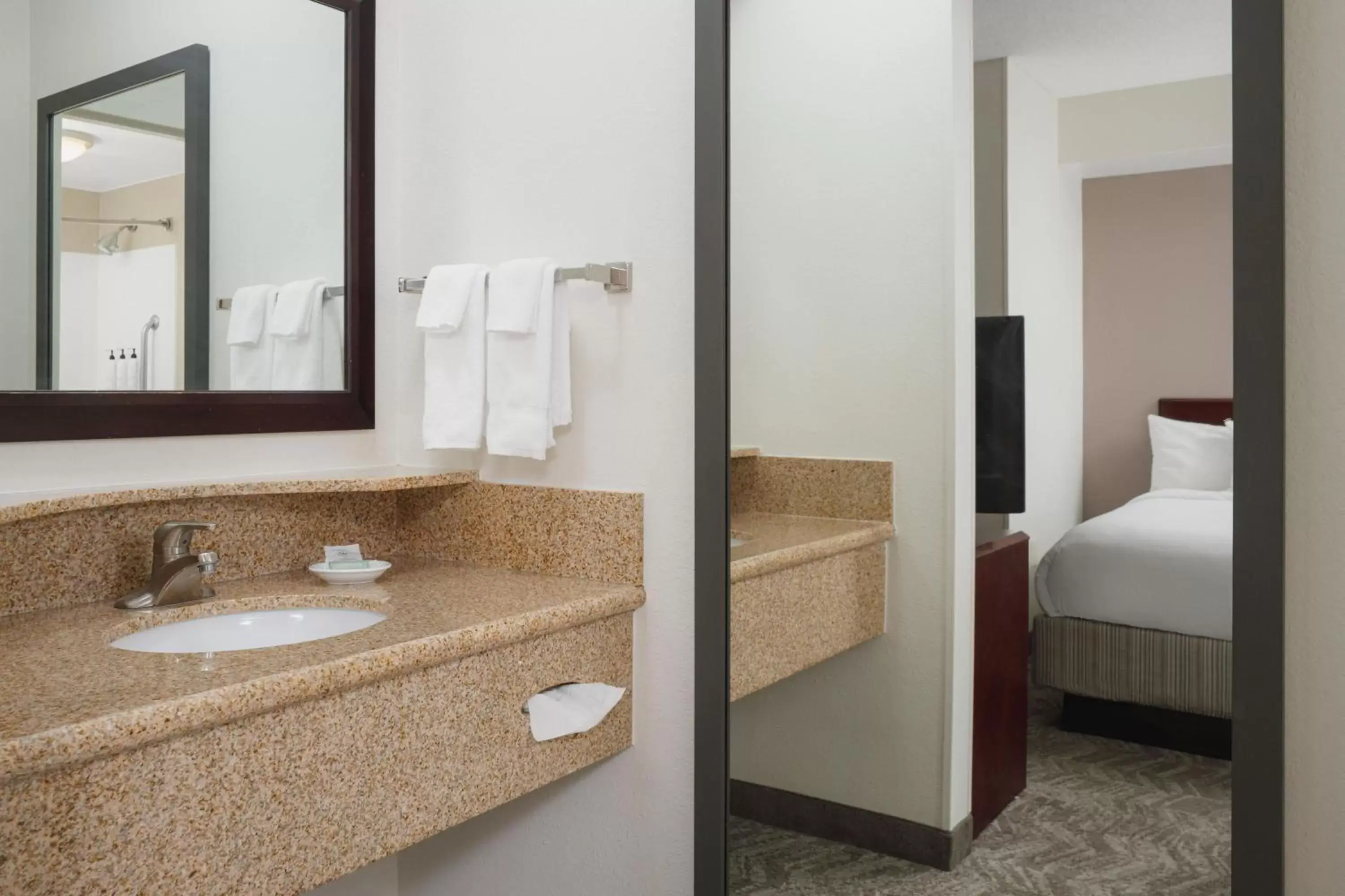 Photo of the whole room, Bathroom in SpringHill Suites Knoxville At Turkey Creek