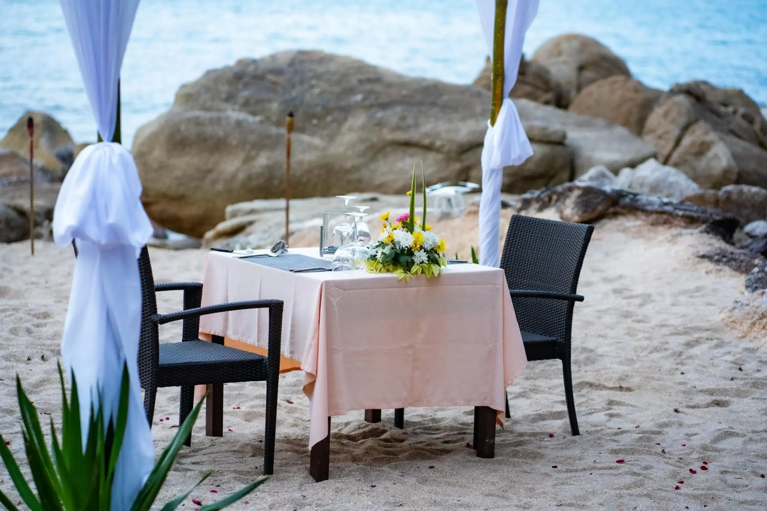 Dinner in Coral Cliff Beach Resort Samui - SHA Plus