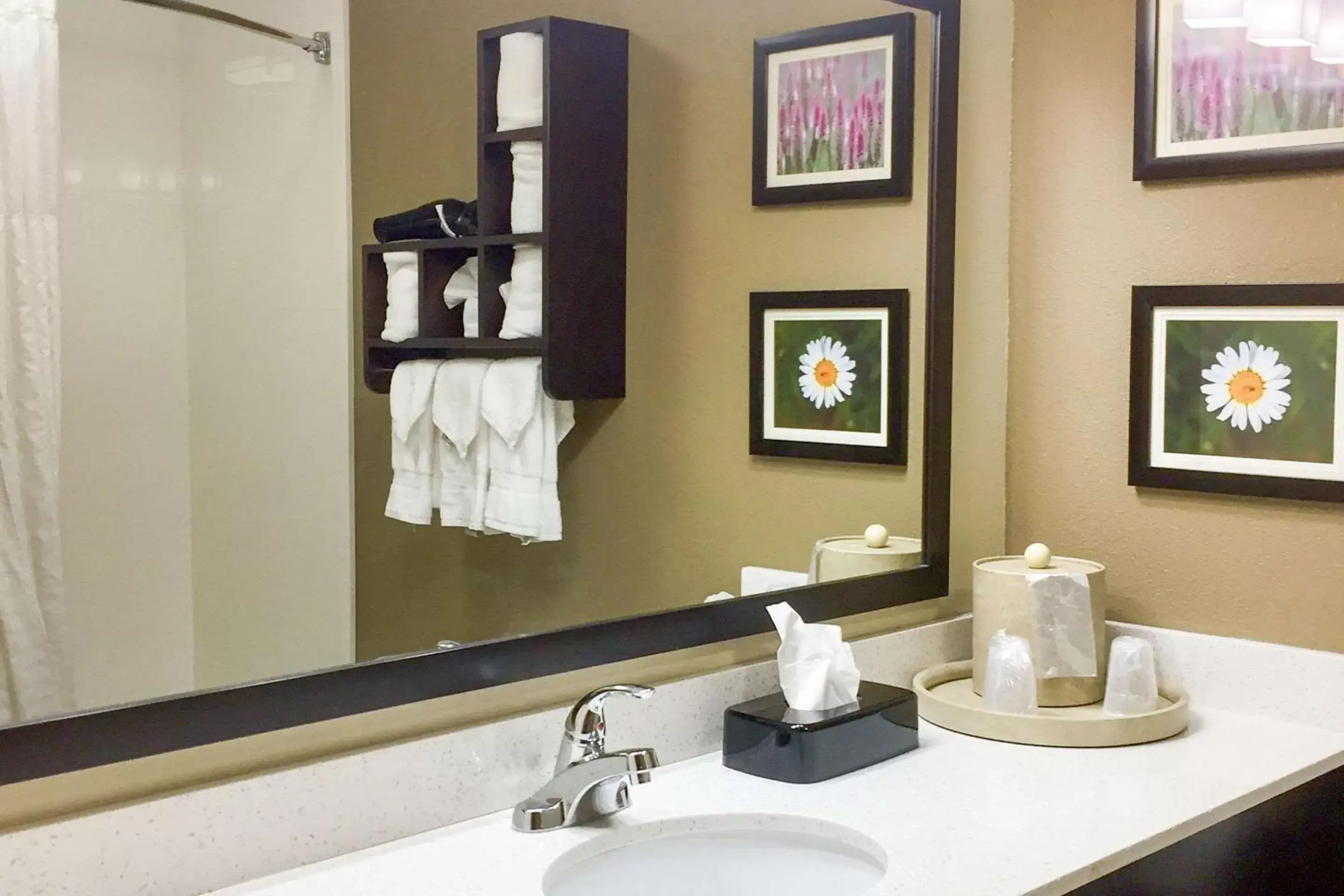 Bathroom in Comfort Suites Regency Park