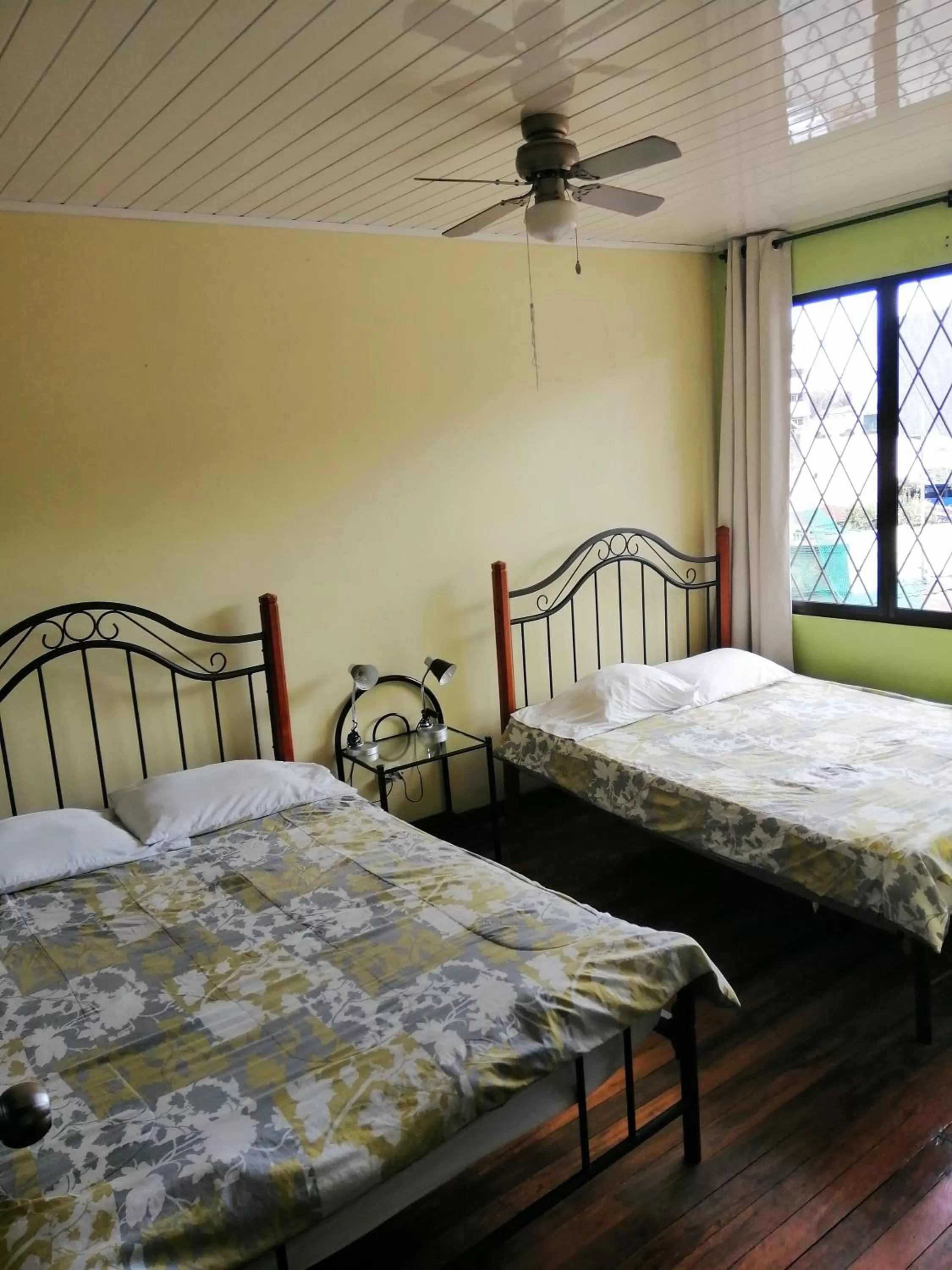 Photo of the whole room in Casa Leon Guesthouse