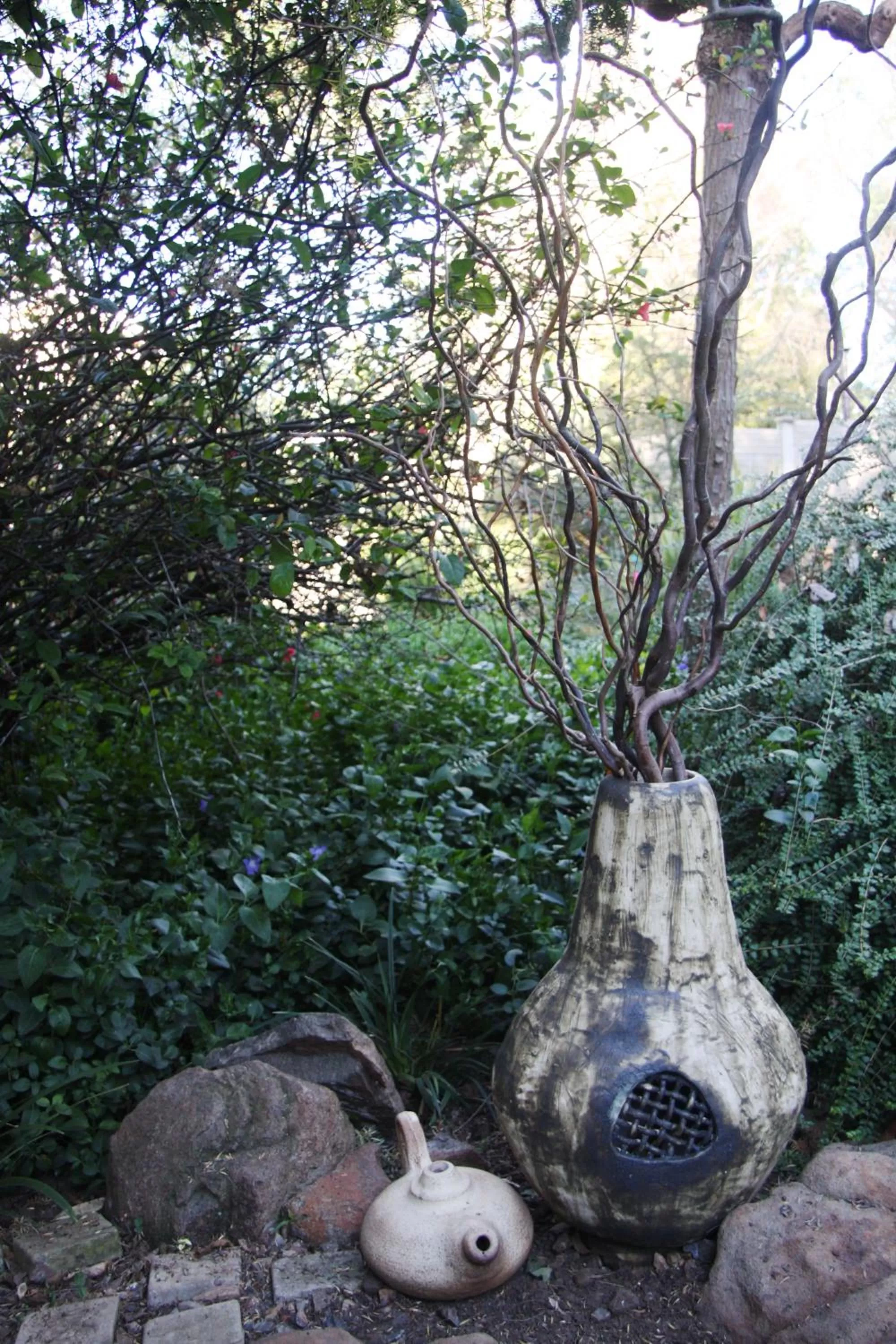 Garden in Jedidja Bed and Breakfast