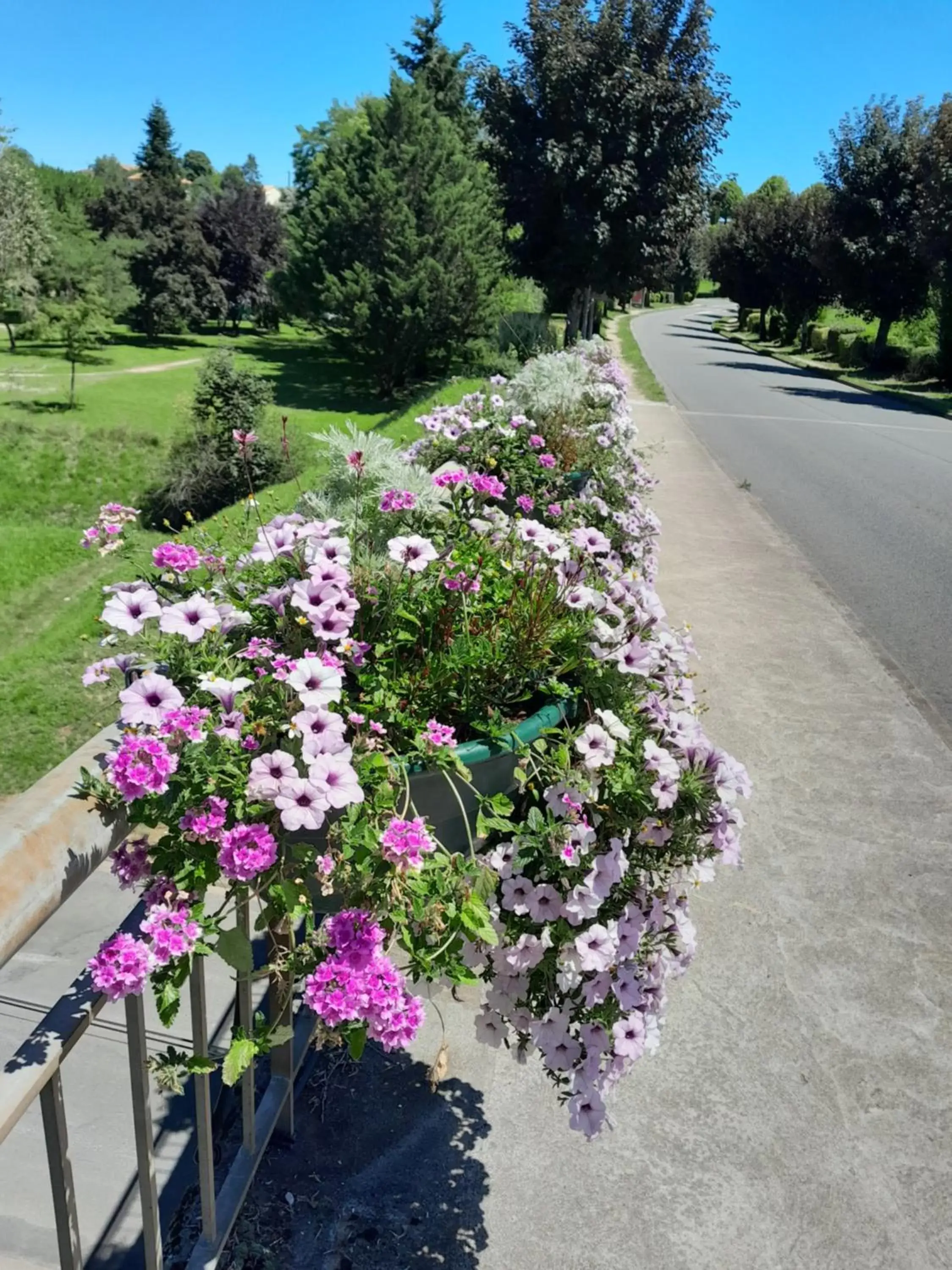 Street view in Le Perroquet Vert