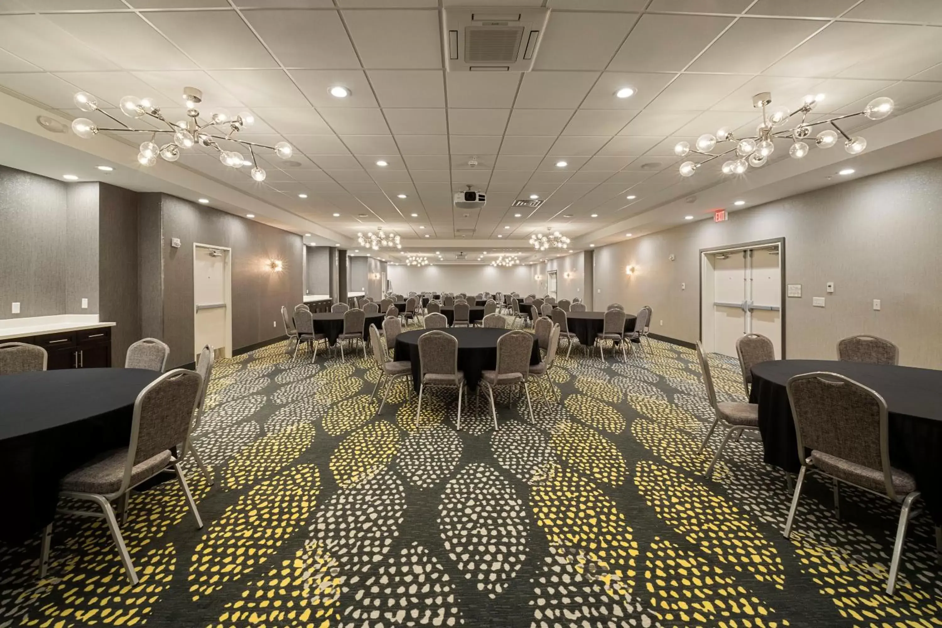 Meeting/conference room, Banquet Facilities in Holiday Inn Hotel & Suites - Decatur, an IHG Hotel