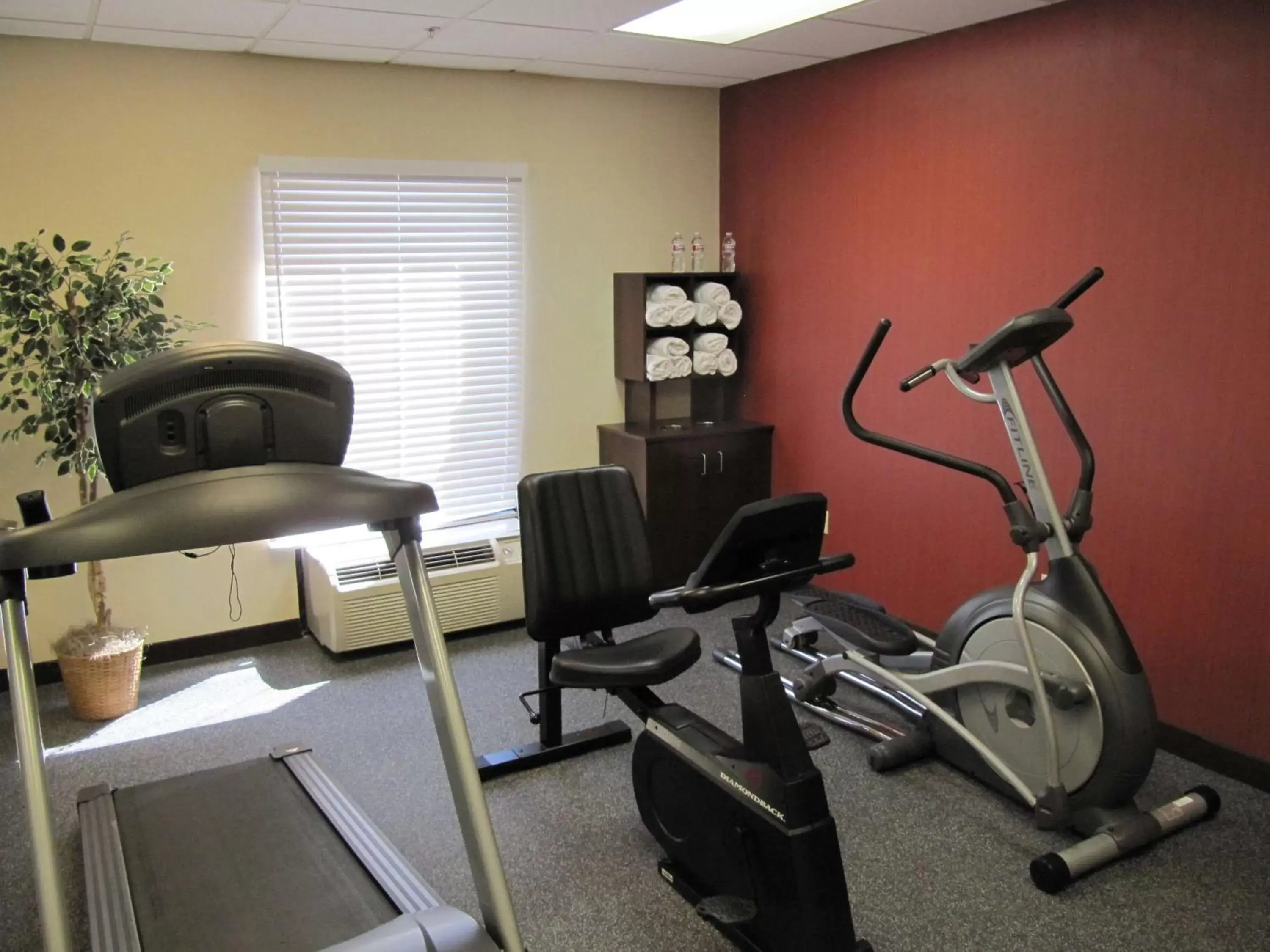 Fitness centre/facilities, Fitness Center/Facilities in Hampton Inn Lindale/Tyler