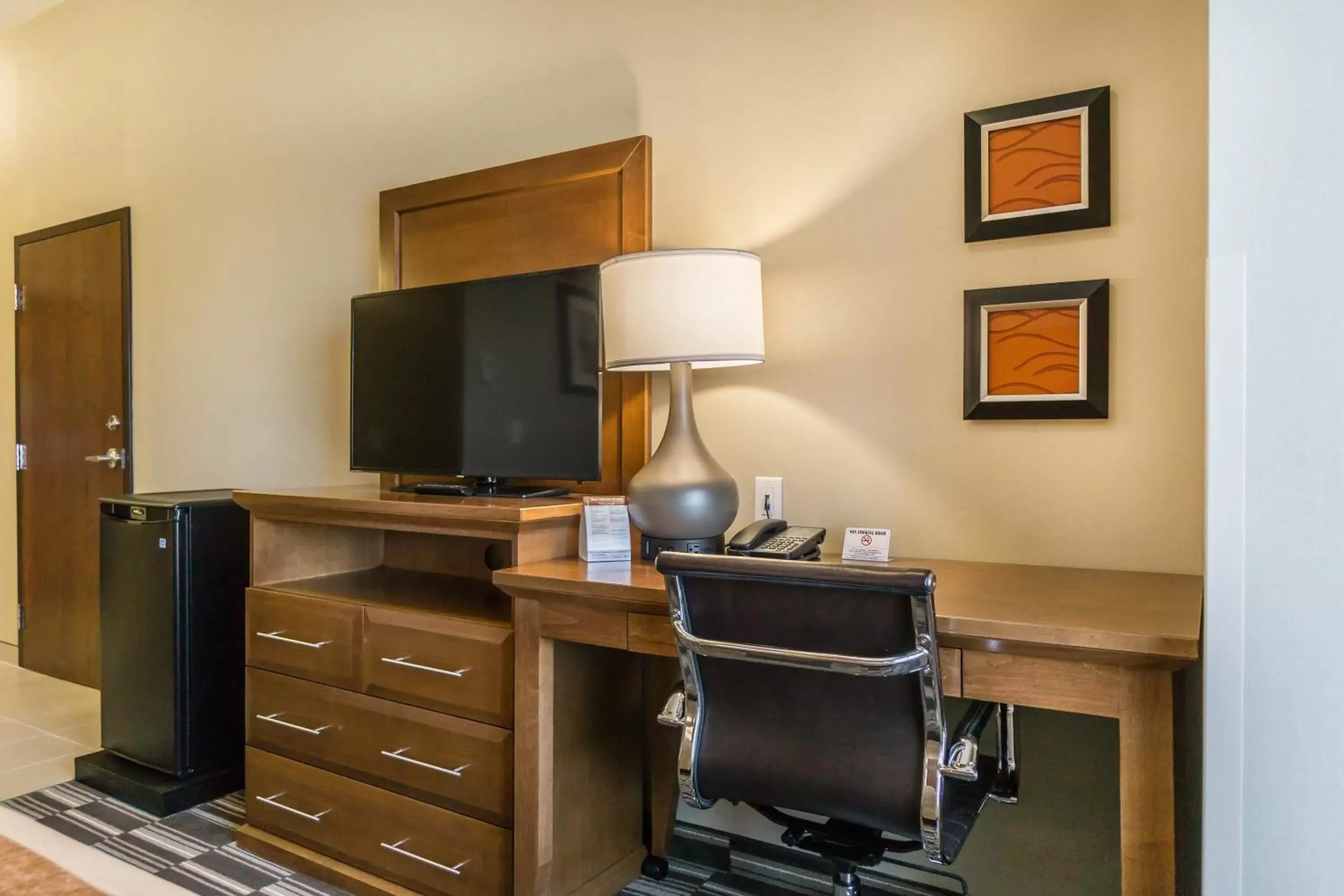 Decorative detail, TV/Entertainment Center in Comfort Inn & Suites Edmonton International Airport