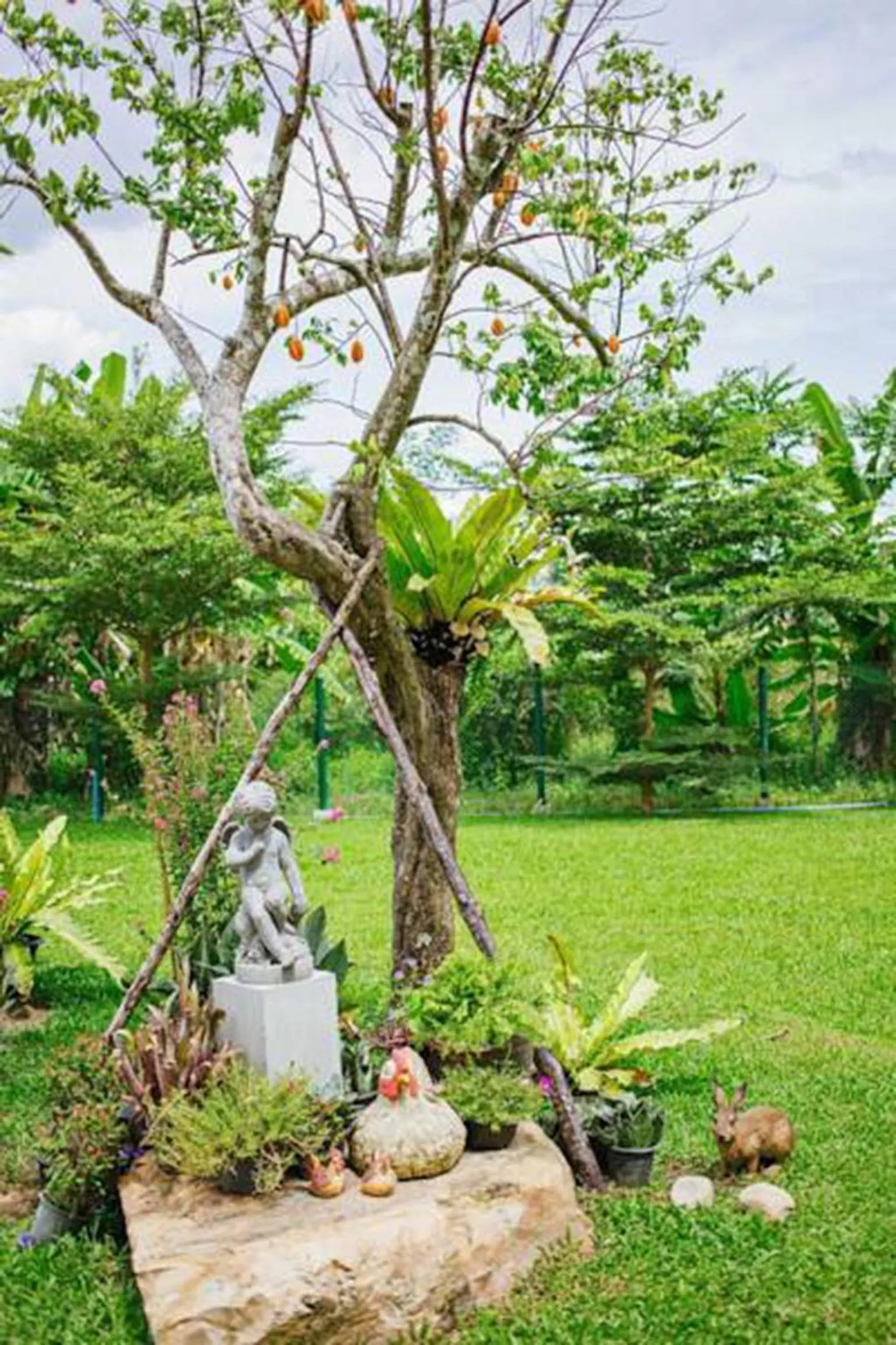 Garden view in The Terrace Hotel