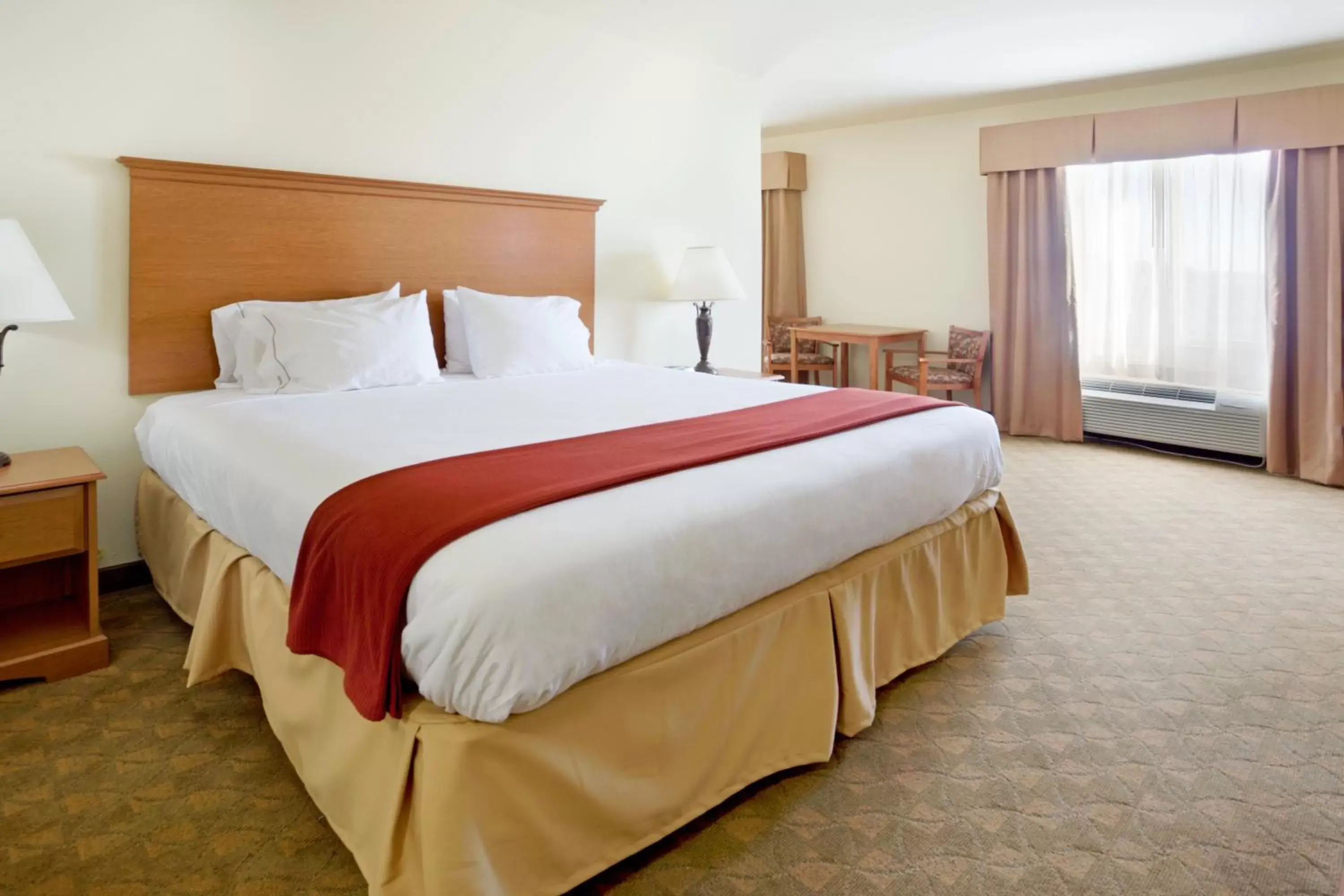 Photo of the whole room, Bed in Holiday Inn Express Hotel & Suites Zapata, an IHG Hotel