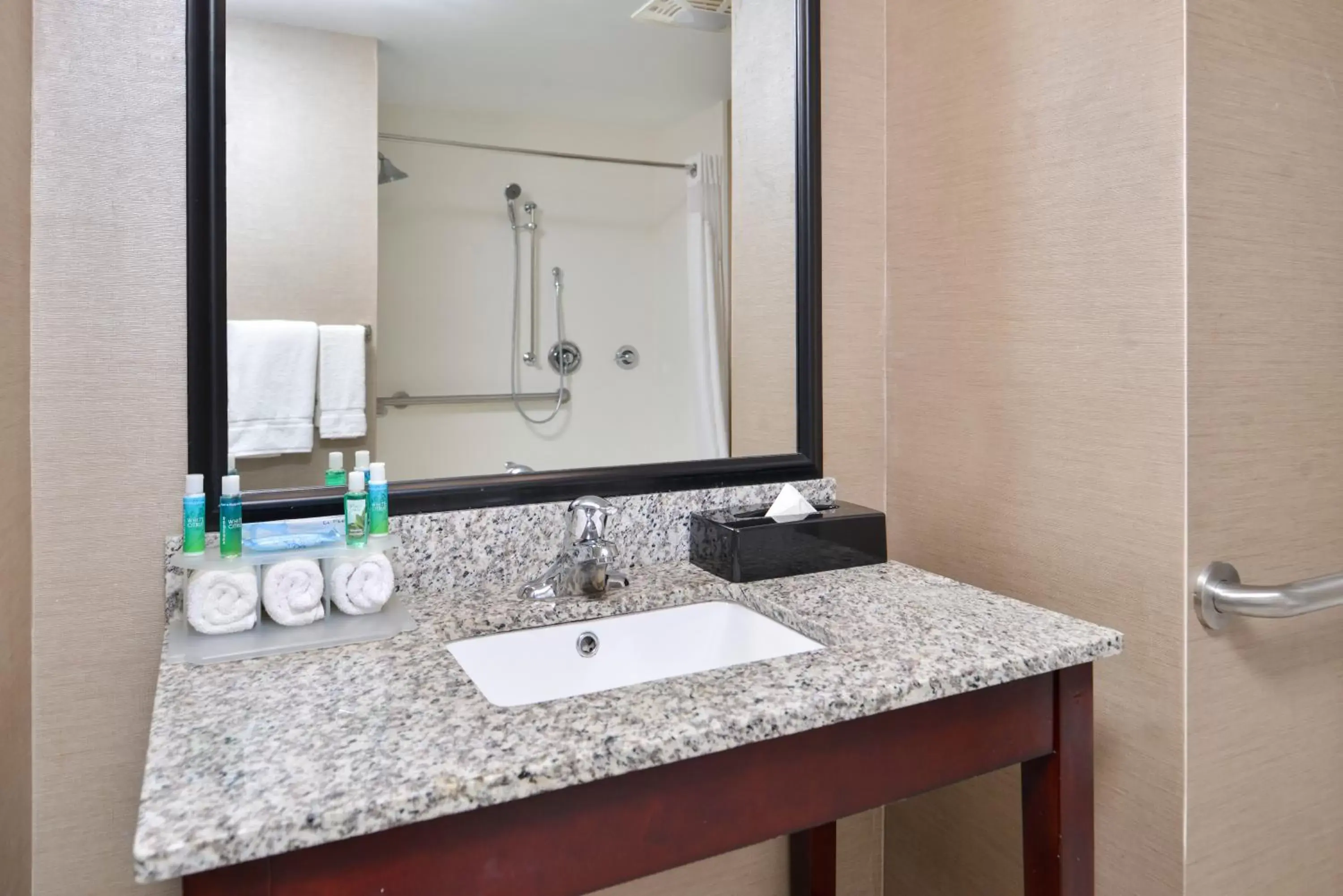 Bathroom in Holiday Inn Express Canandaigua, an IHG Hotel